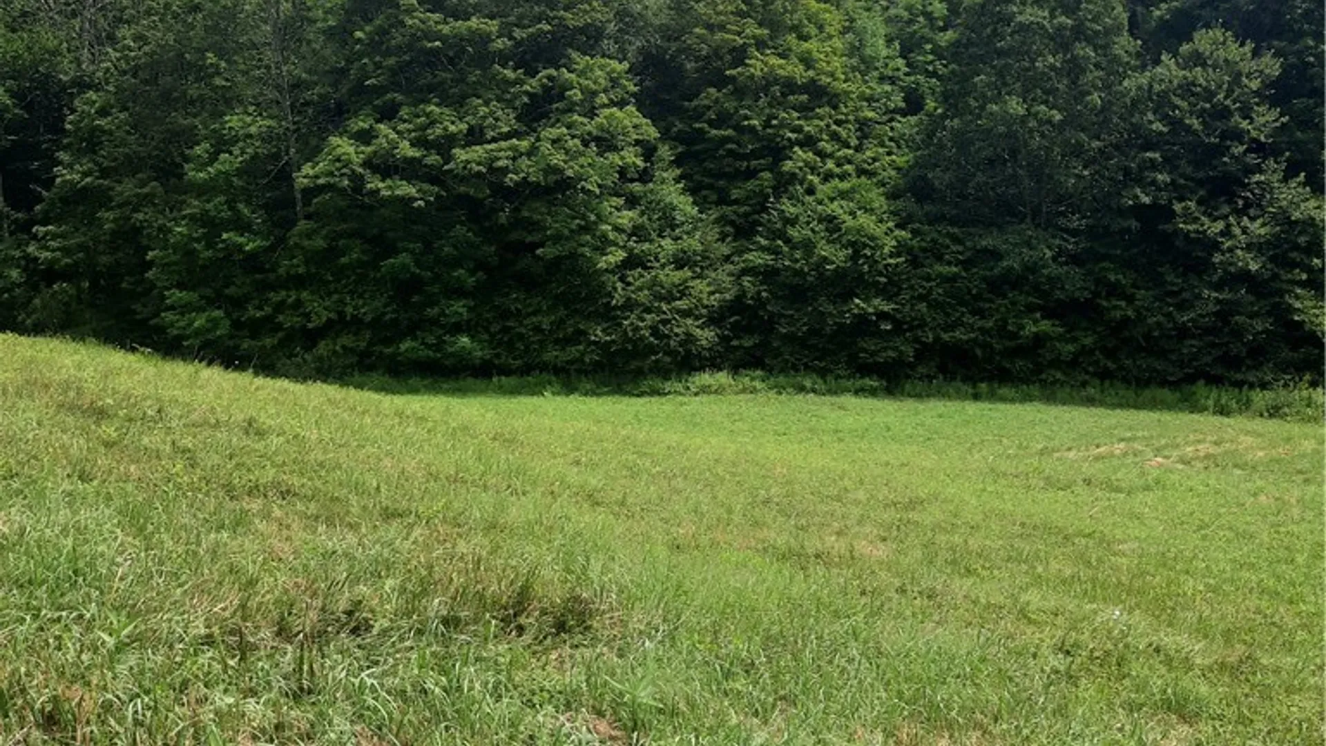 Property at TBD Lower Dingle Hill Road, Andes, NY 13731 40