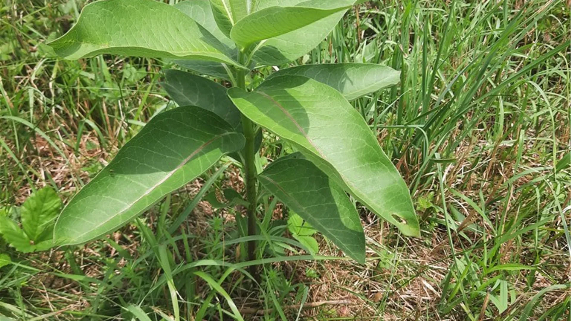 Property at TBD Lower Dingle Hill Road, Andes, NY 13731 41