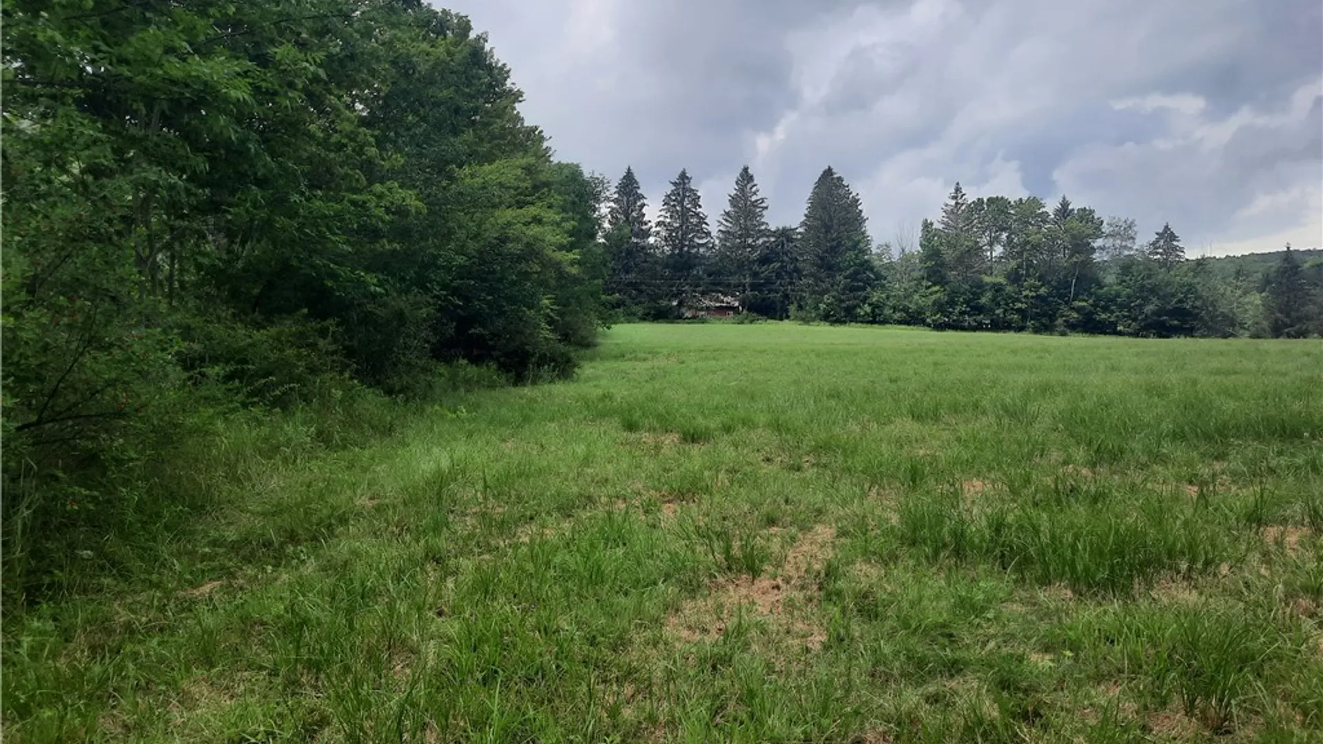 Property at TBD Lower Dingle Hill Road, Andes, NY 13731 43