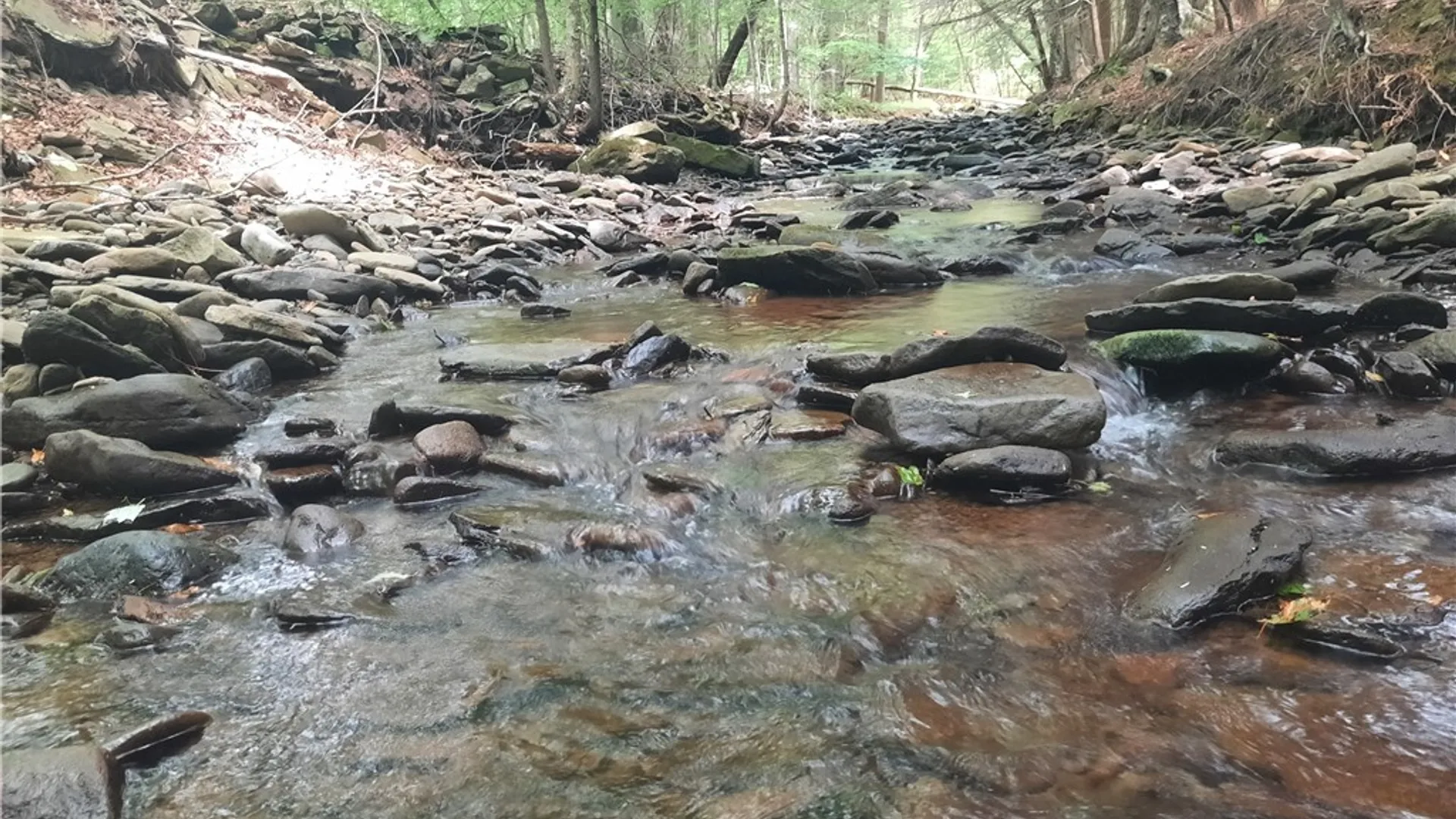 Property at TBD Lower Dingle Hill Road, Andes, NY 13731 44