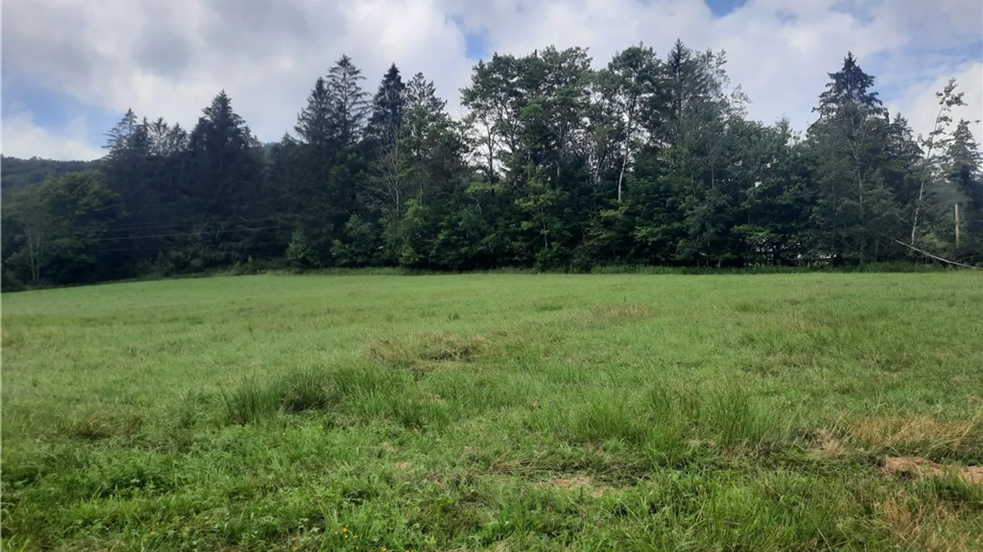 Property at TBD Lower Dingle Hill Road, Andes, NY 13731 45