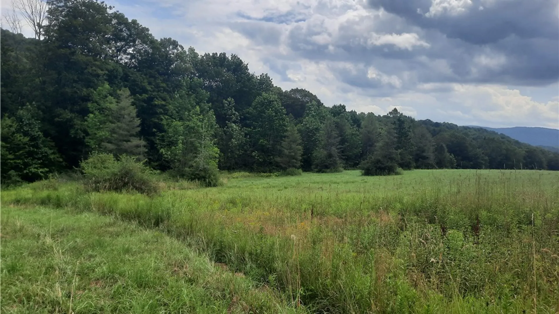 Property at TBD Lower Dingle Hill Road, Andes, NY 13731 46