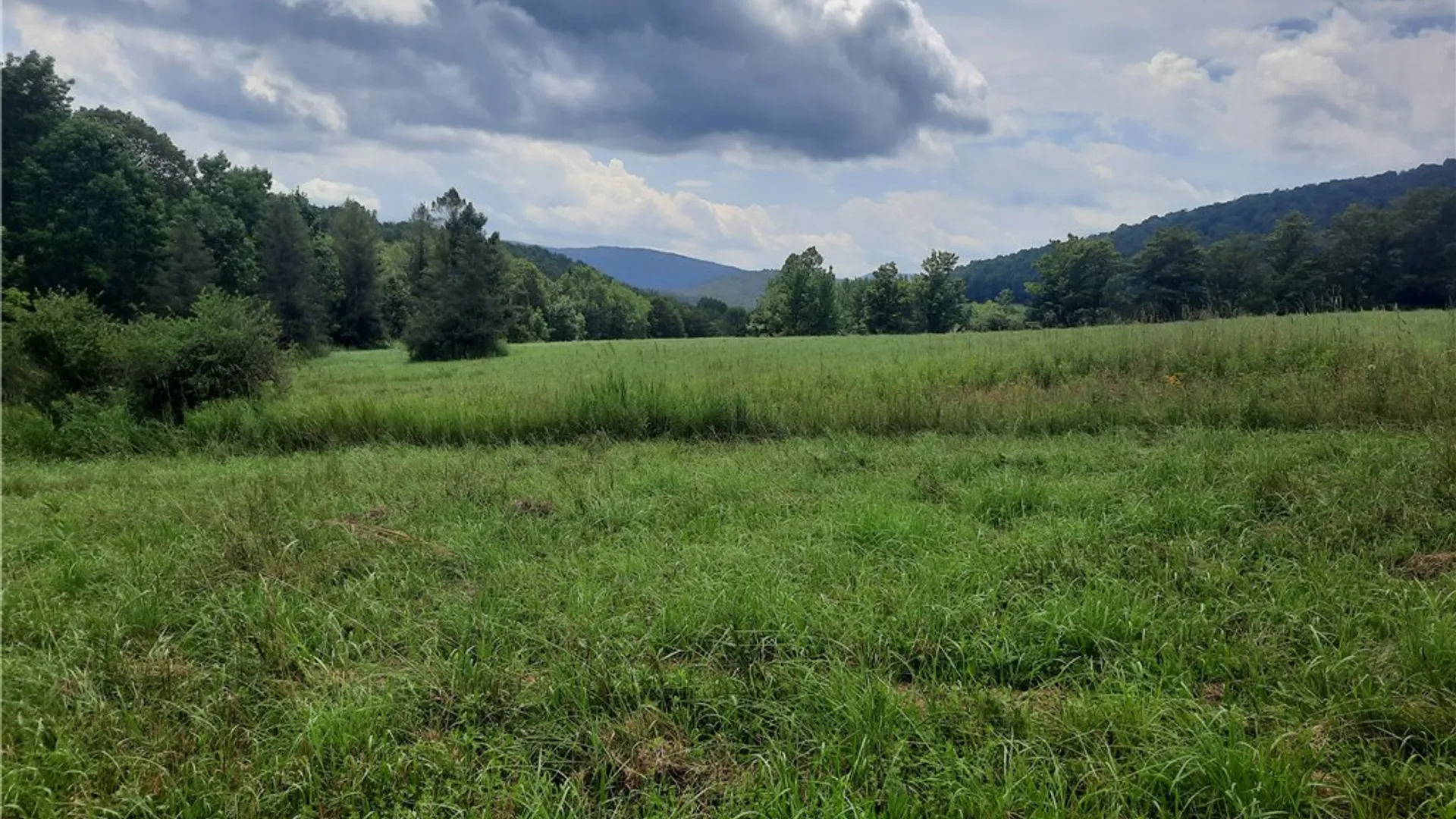 Property at TBD Lower Dingle Hill Road, Andes, NY 13731 47