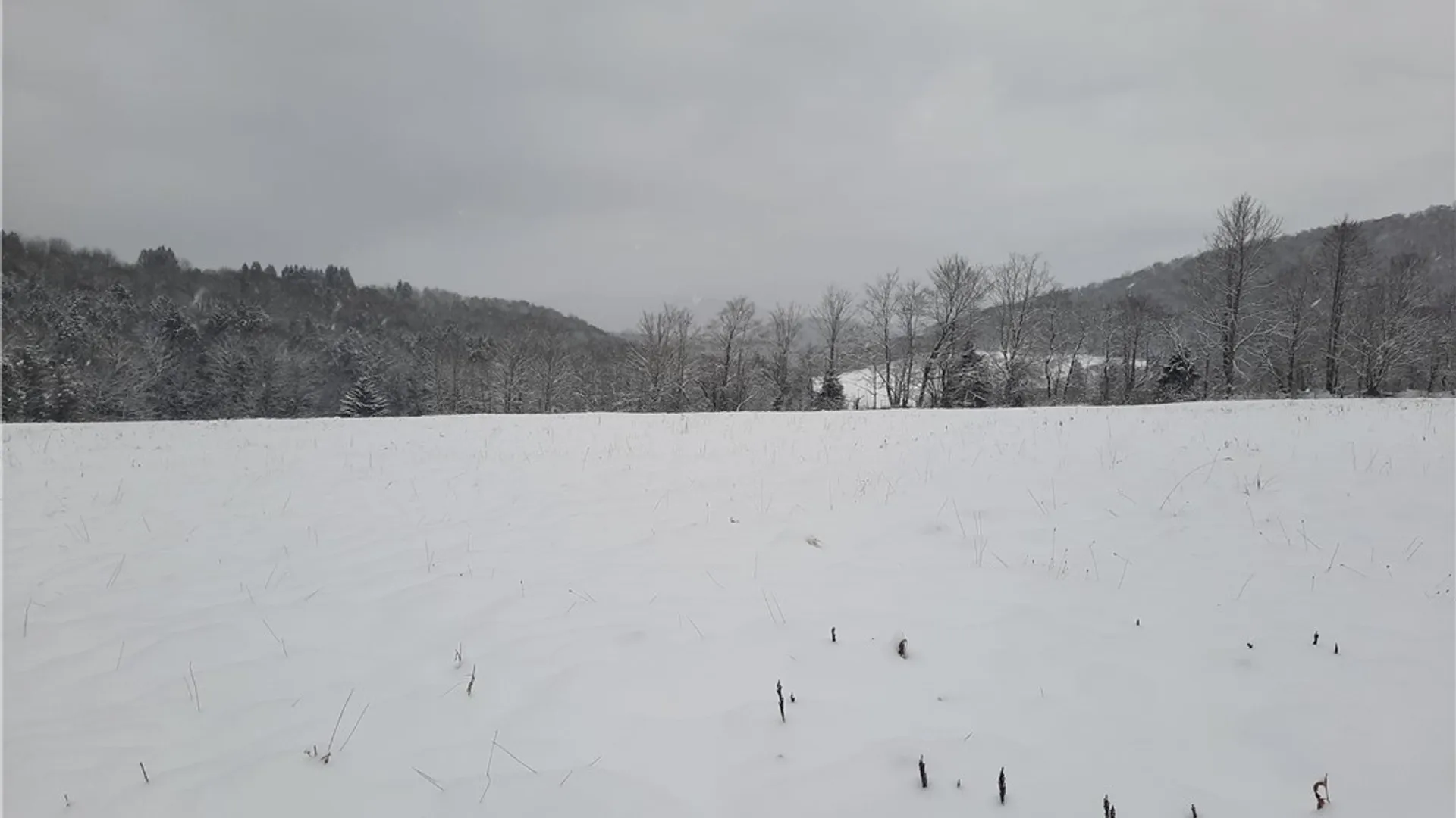 Property at TBD Lower Dingle Hill Road, Andes, NY 13731 50