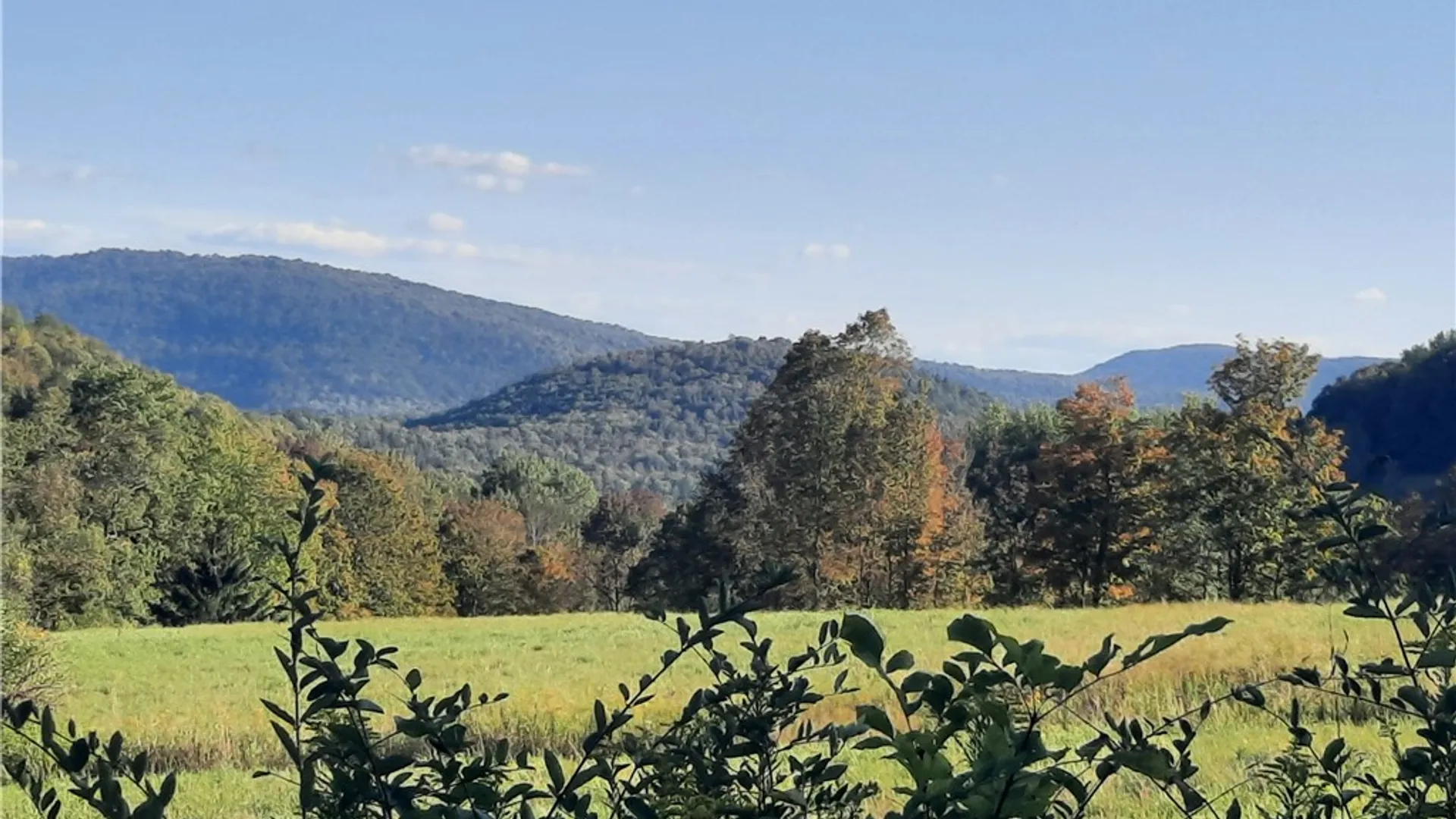 Property at TBD Lower Dingle Hill Road, Andes, NY 13731 7