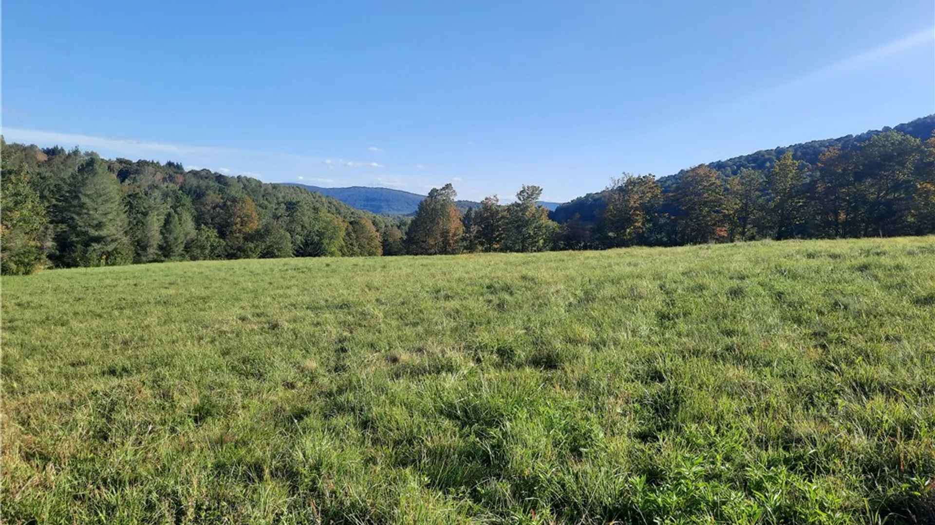 Property at TBD Lower Dingle Hill Road, Andes, NY 13731 8