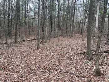 Property at Lot - 62.1 Welty Road, Lindley, NY 14858