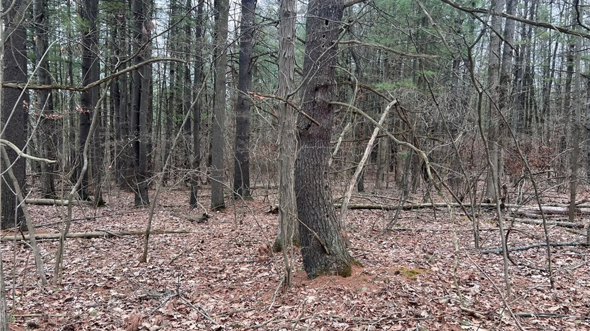 Property at Lot - 62.1 Welty Road, Lindley, NY 14858 2