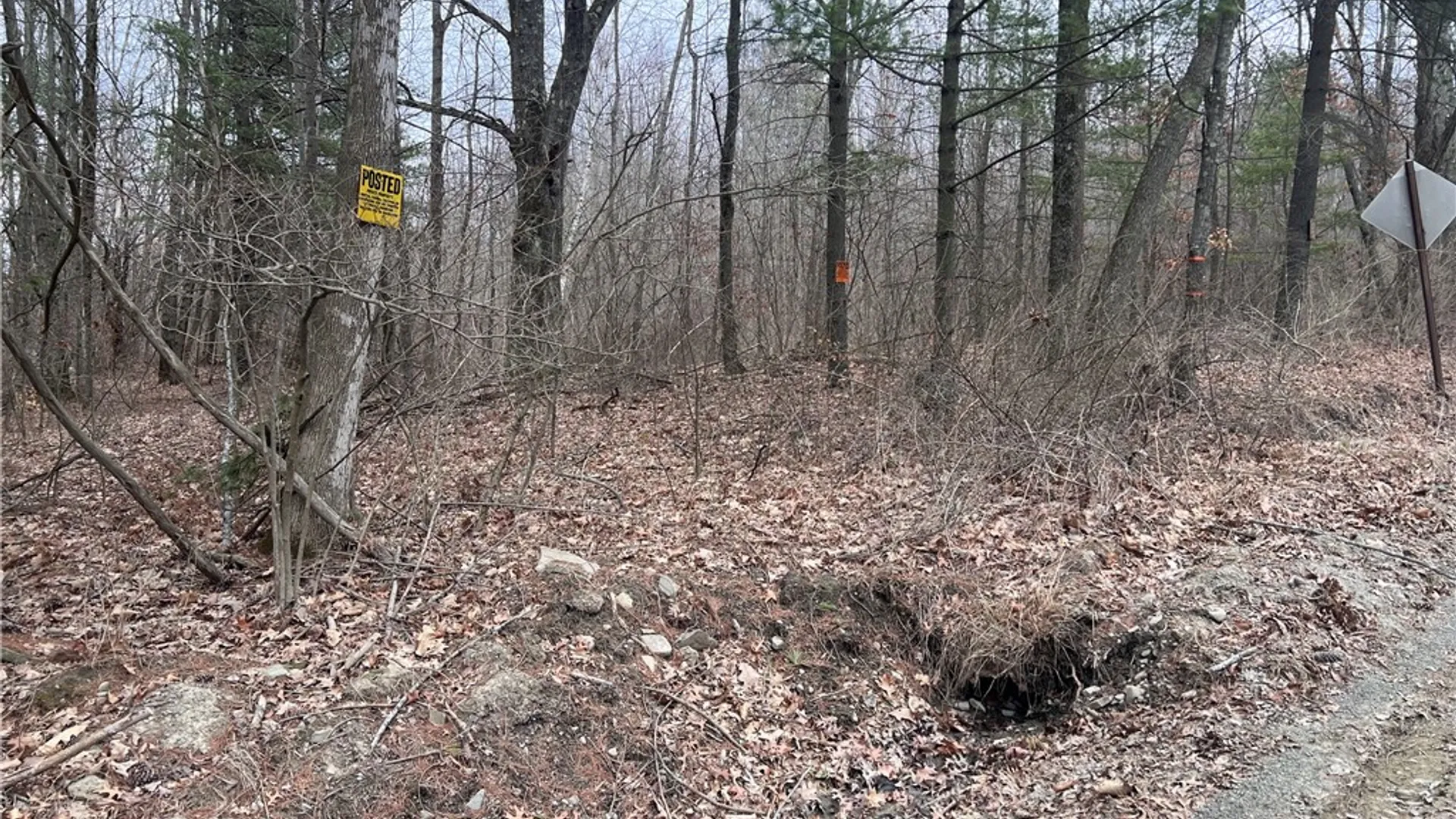 Property at Lot - 62.1 Welty Road, Lindley, NY 14858 3