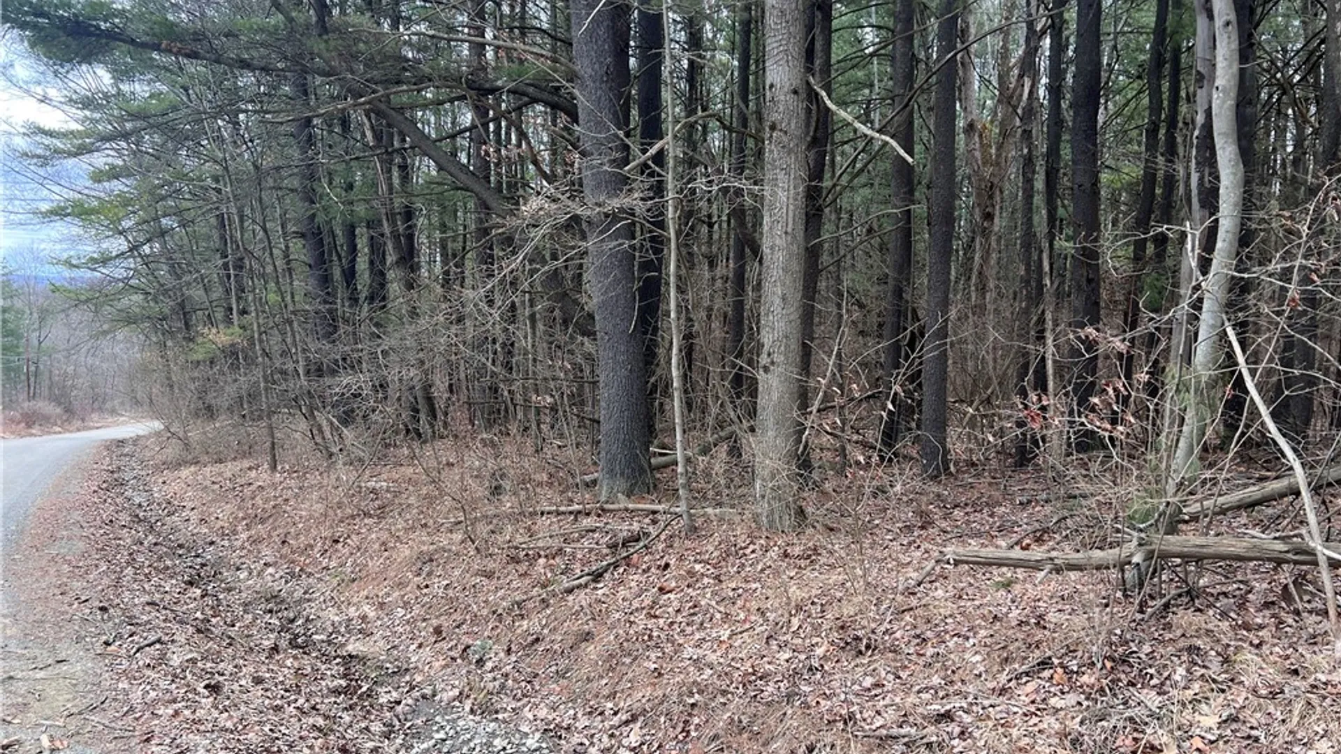 Property at Lot - 62.1 Welty Road, Lindley, NY 14858 4