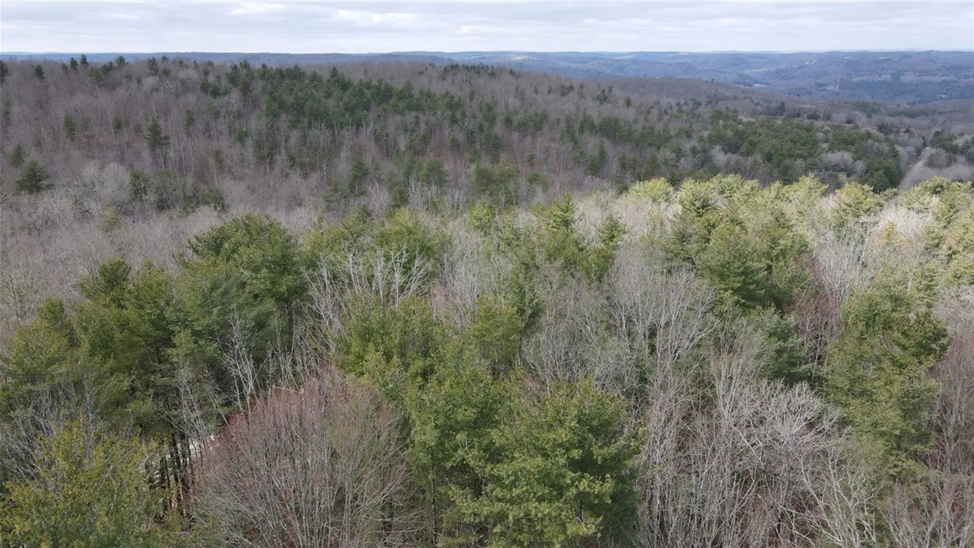 Property at Lot - 62.1 Welty Road, Lindley, NY 14858 5