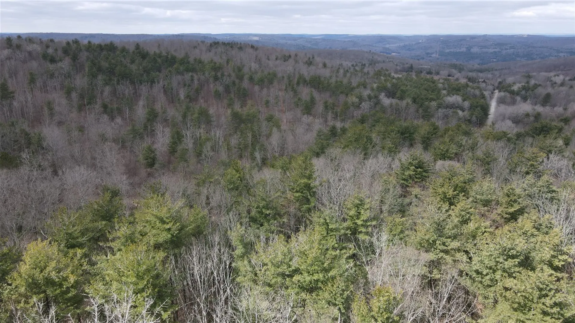 Property at Lot - 62.1 Welty Road, Lindley, NY 14858 6