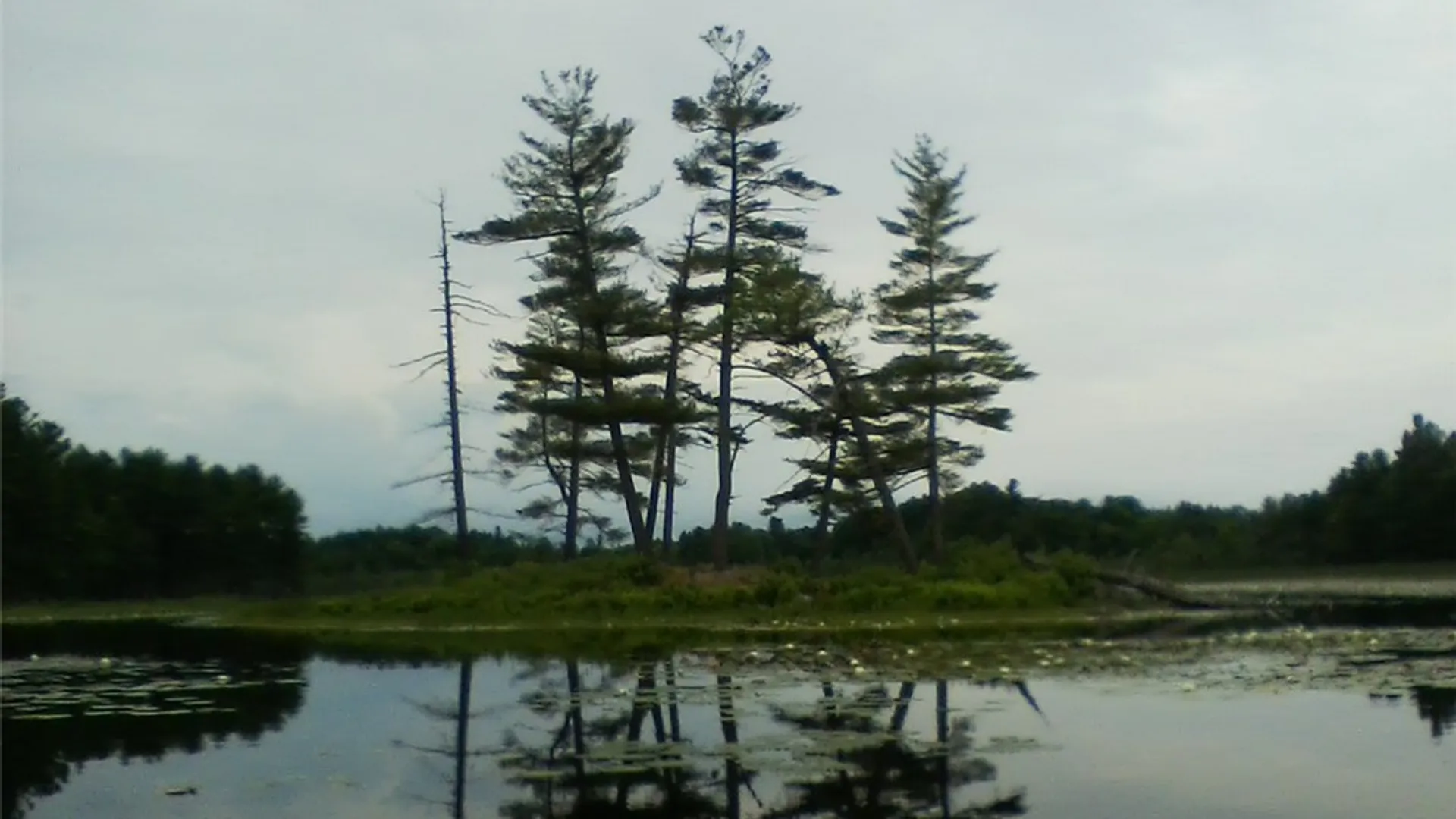 Property at Island In Grass, Theresa, NY 13691 2