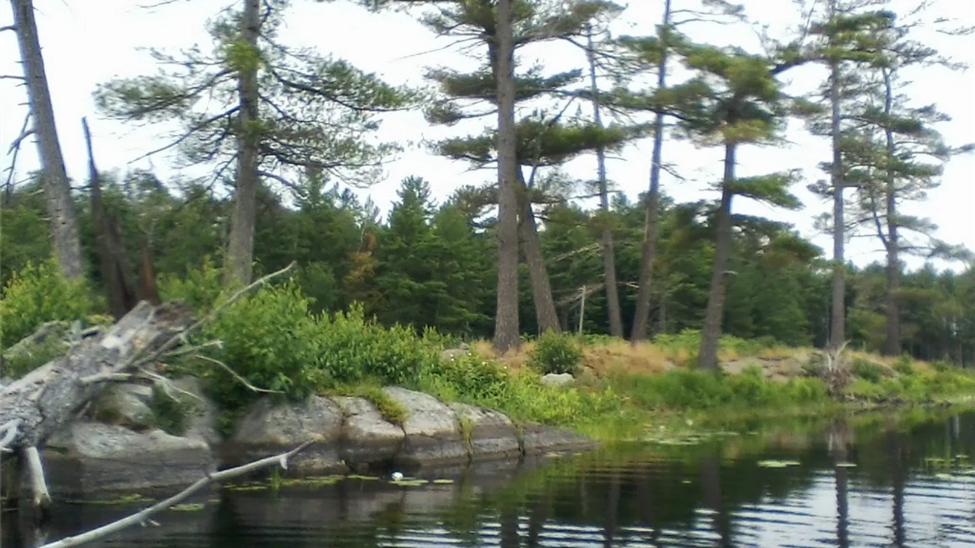 Property at Island In Grass, Theresa, NY 13691 3