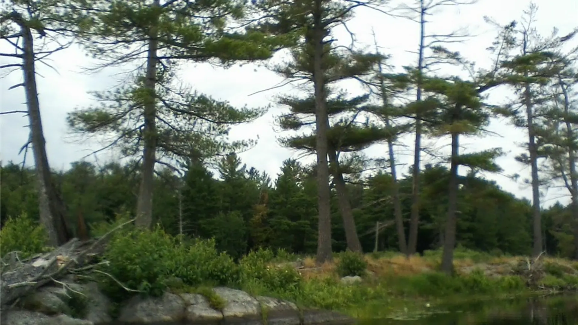 Property at Island In Grass, Theresa, NY 13691 4