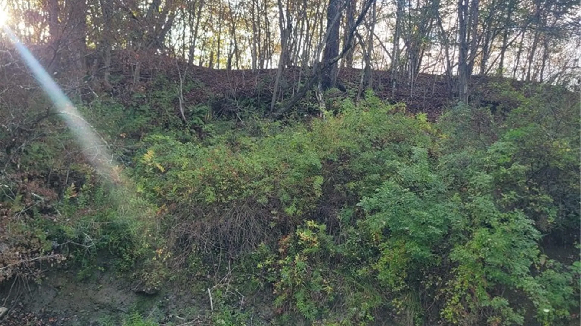 Property at Wylie Road, Greene, NY 13778 10