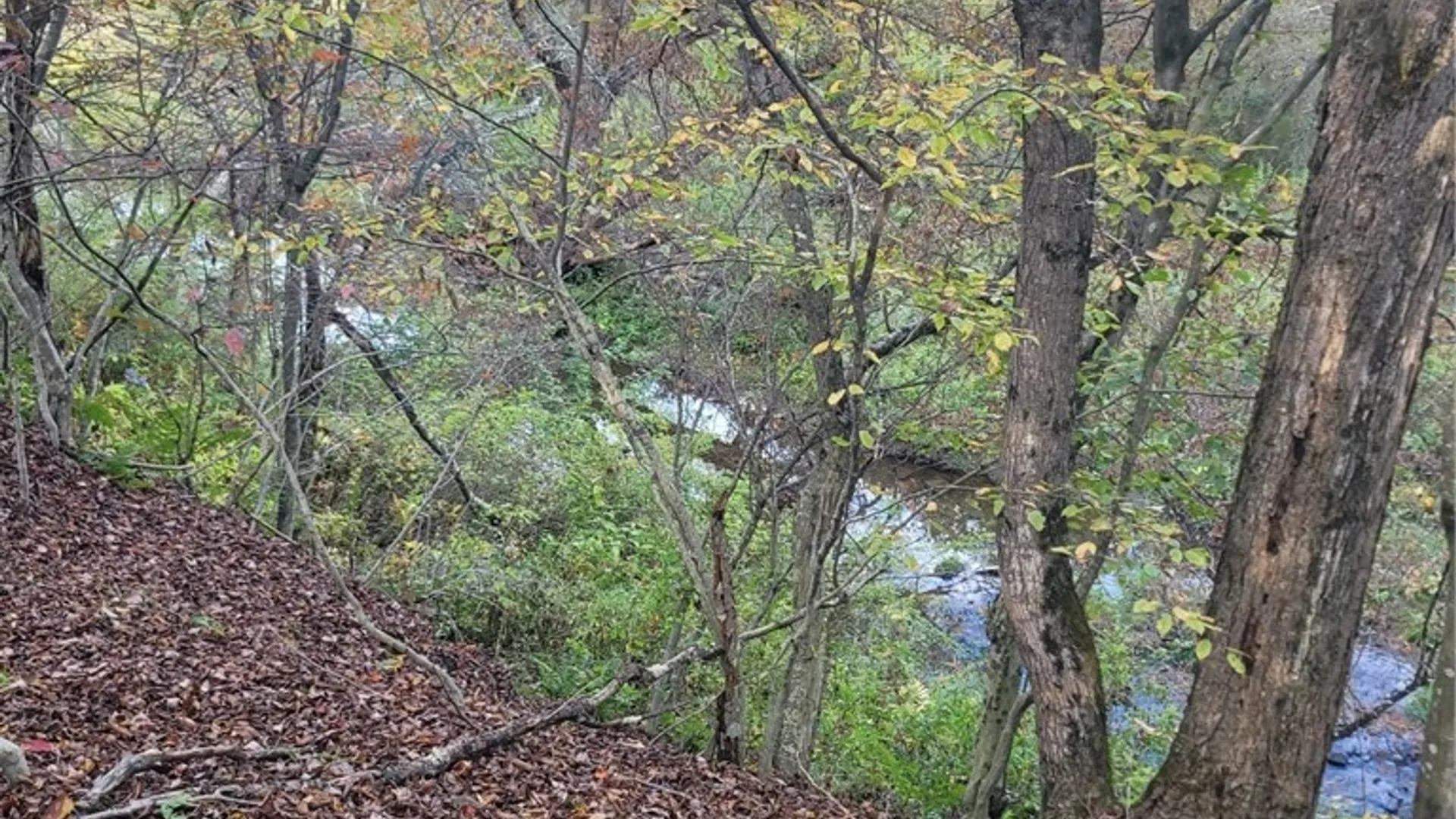 Property at Wylie Road, Greene, NY 13778 11