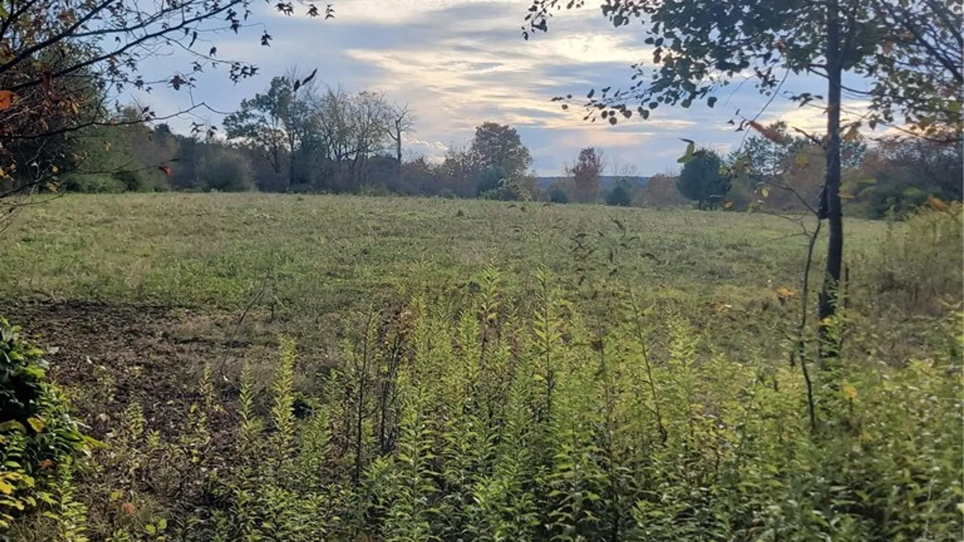 Property at Wylie Road, Greene, NY 13778 12