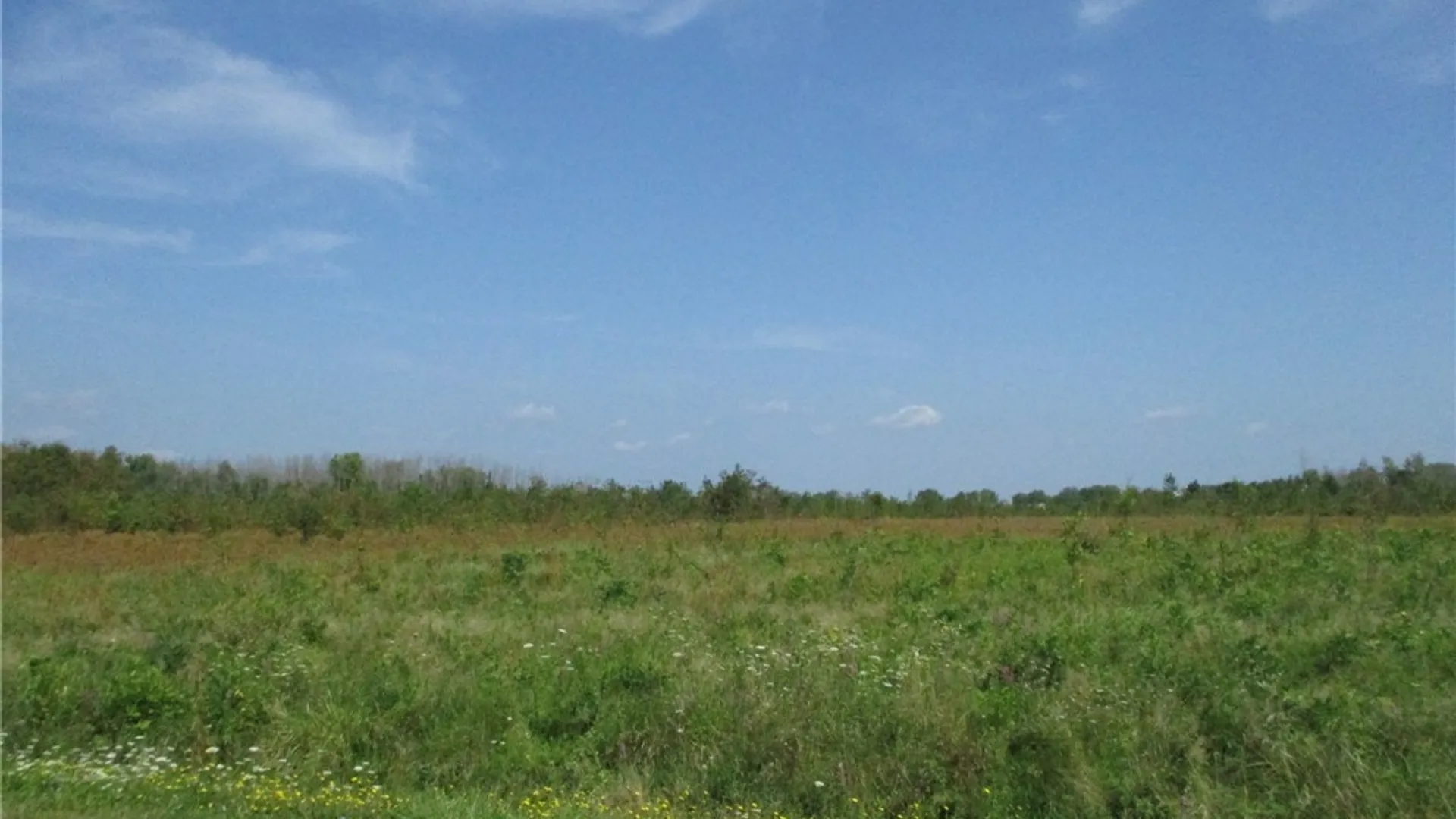 Property at 02 Hitchcock Point Road, Sullivan, NY 13037 10