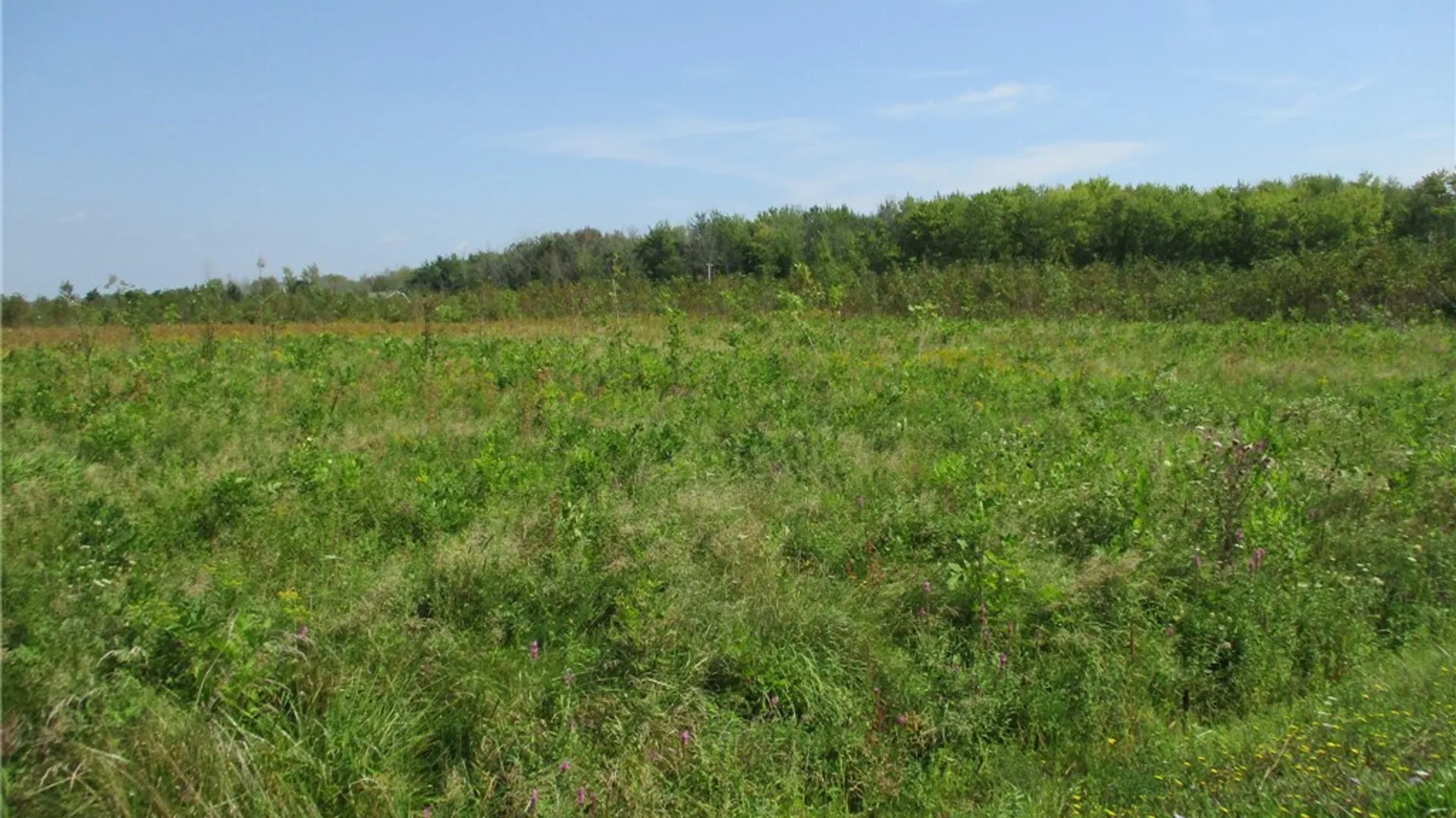 Property at 02 Hitchcock Point Road, Sullivan, NY 13037 12