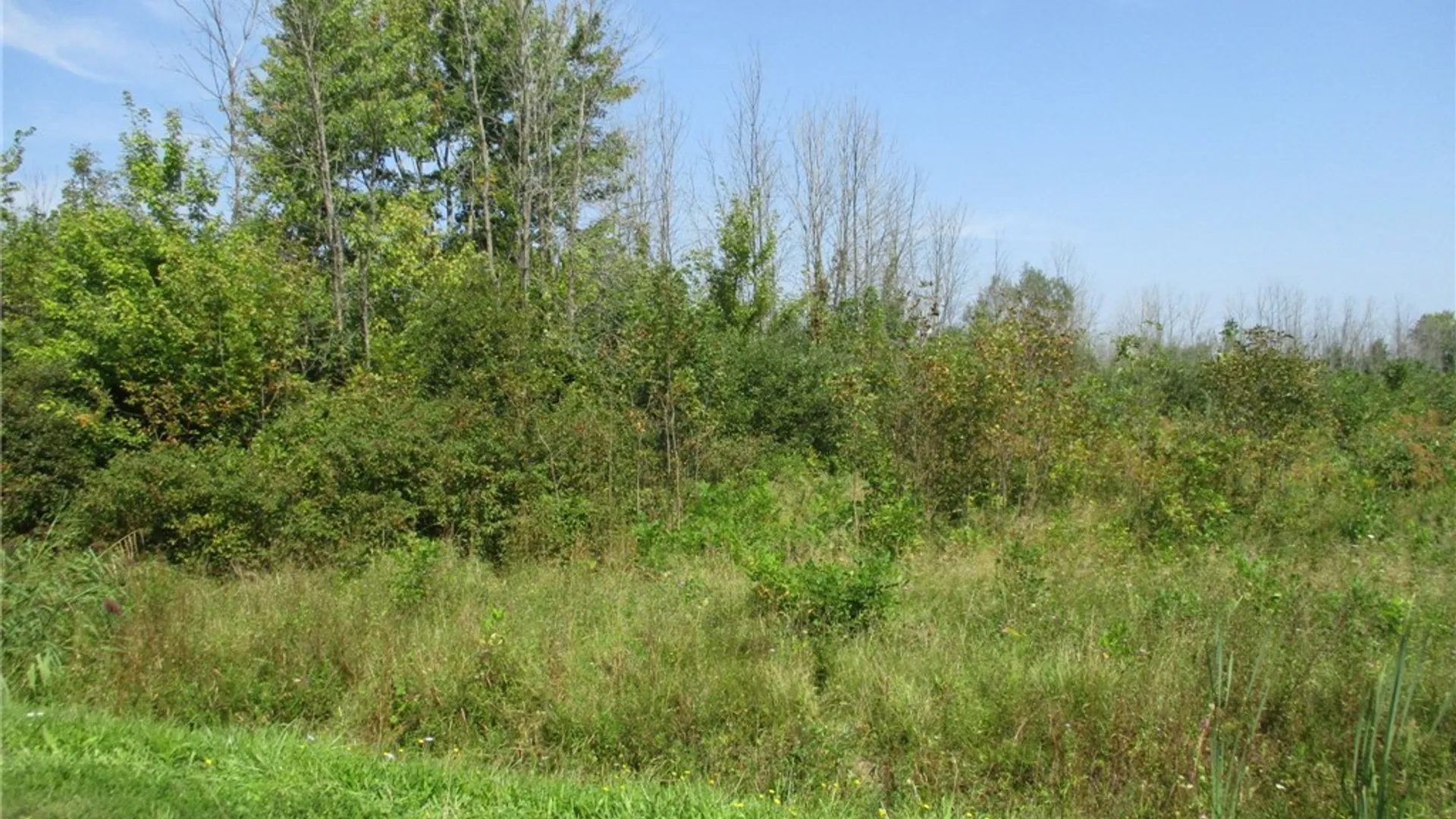 Property at 02 Hitchcock Point Road, Sullivan, NY 13037 8