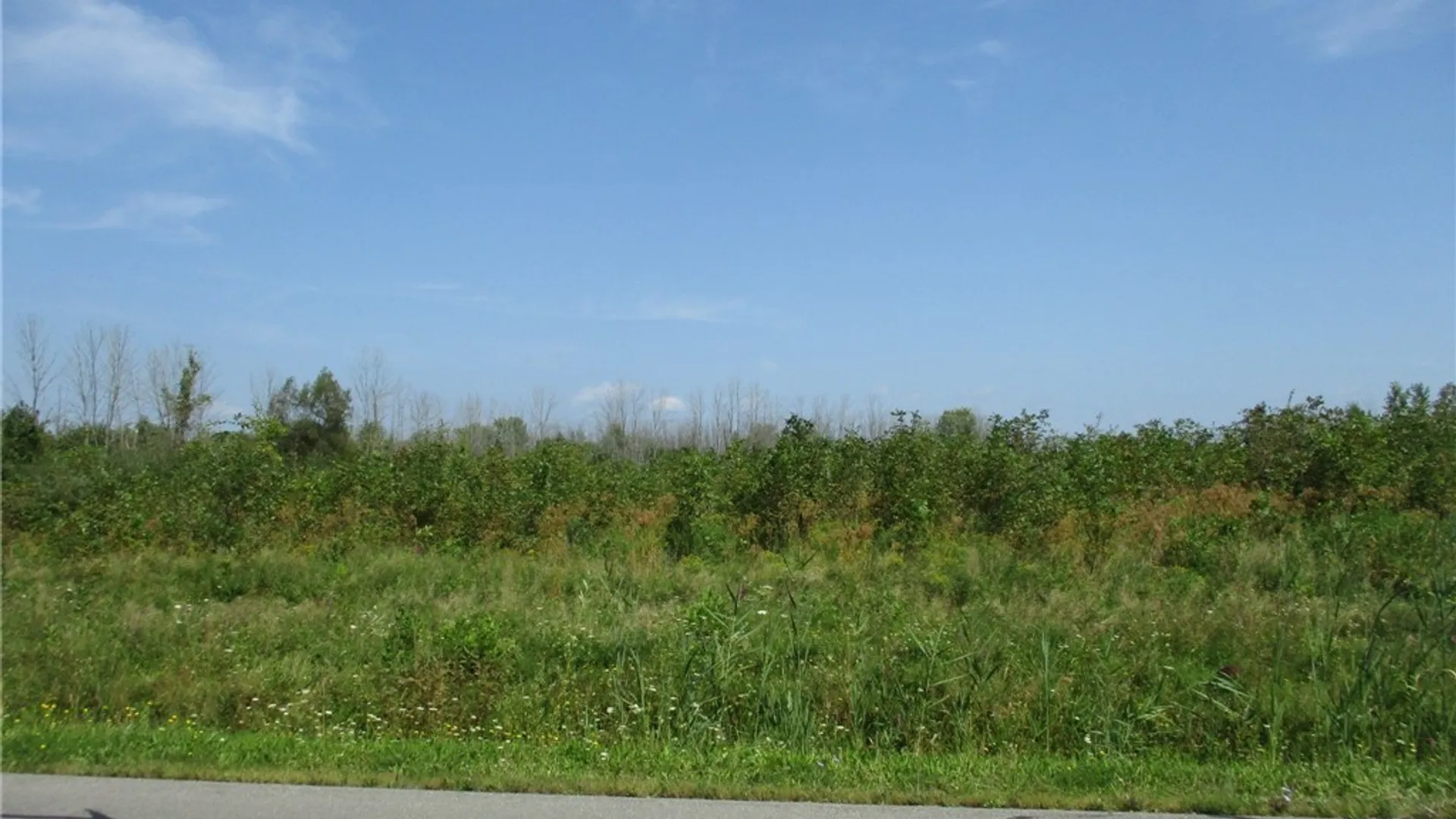 Property at 02 Hitchcock Point Road, Sullivan, NY 13037 9