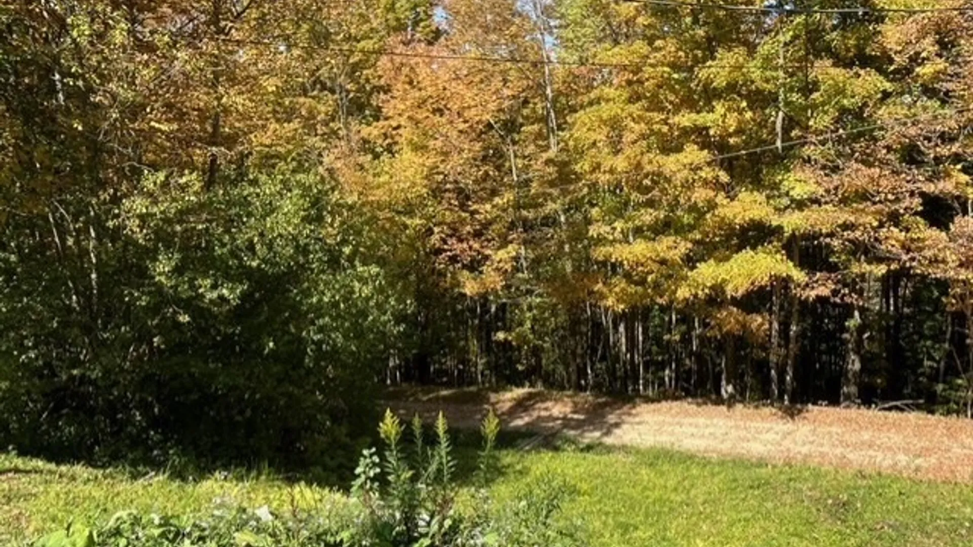 Property at 2761 Friendship Lane, Franklinville, NY 14737 36