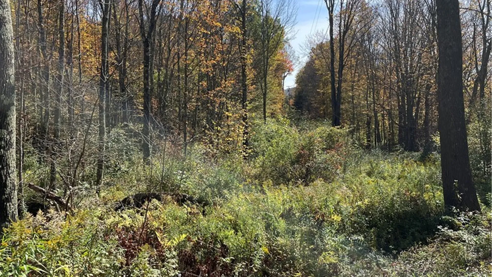 Property at 2-57 Hornbeck Road, Harpersfield, NY 13786 4