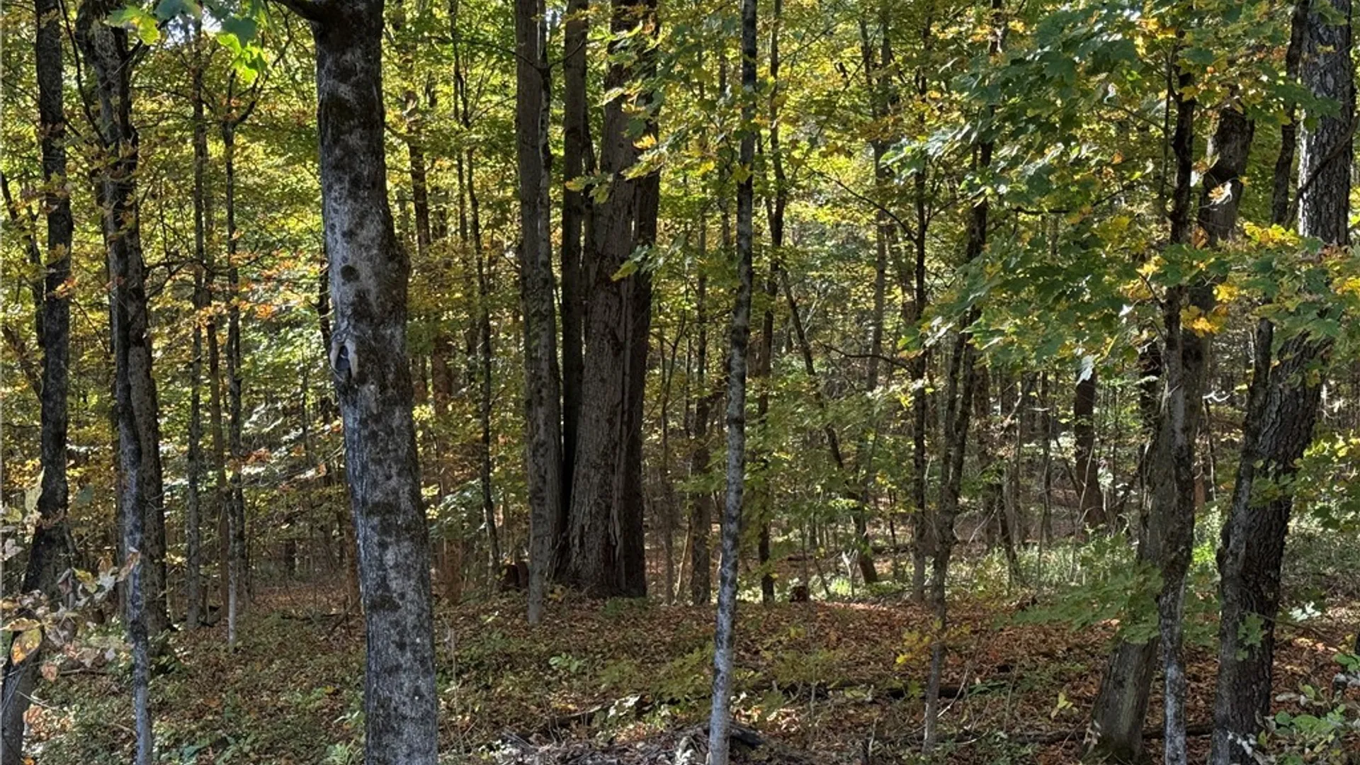 Property at Steelhead Lane, Williamstown, NY 13493 11