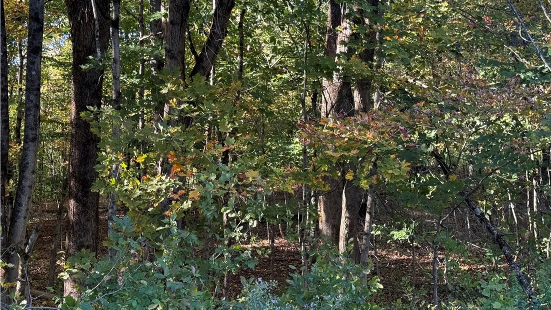 Property at Steelhead Lane, Williamstown, NY 13493 13