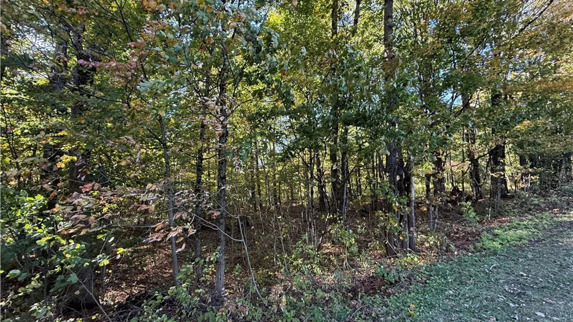 Property at Steelhead Lane, Williamstown, NY 13493 14