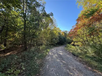 Property at Steelhead Lane, Williamstown, NY 13493