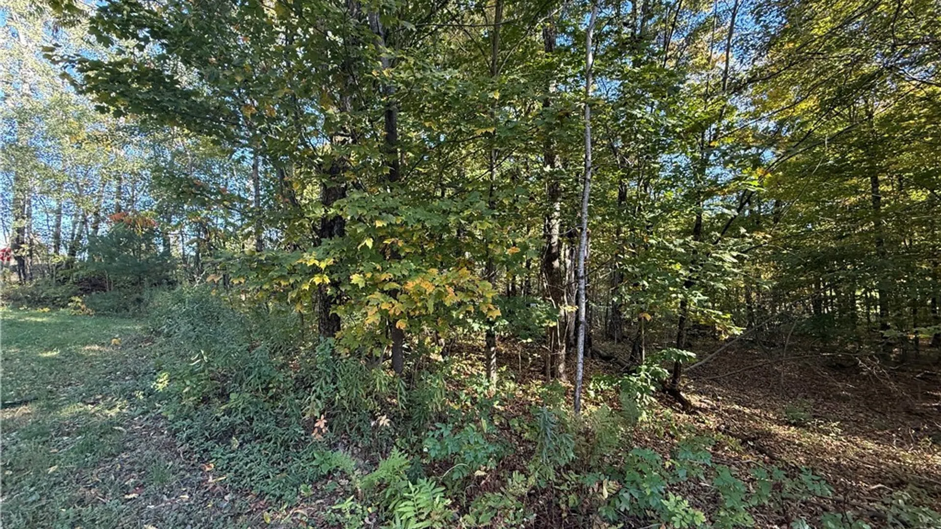 Property at Steelhead Lane, Williamstown, NY 13493 3