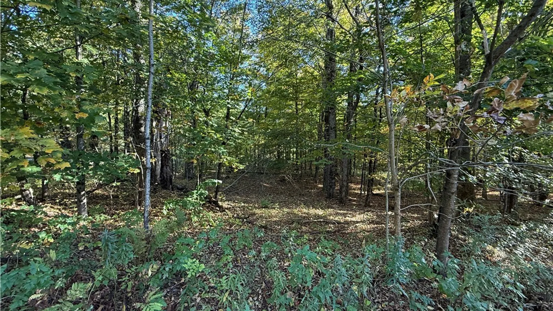 Property at Steelhead Lane, Williamstown, NY 13493 4