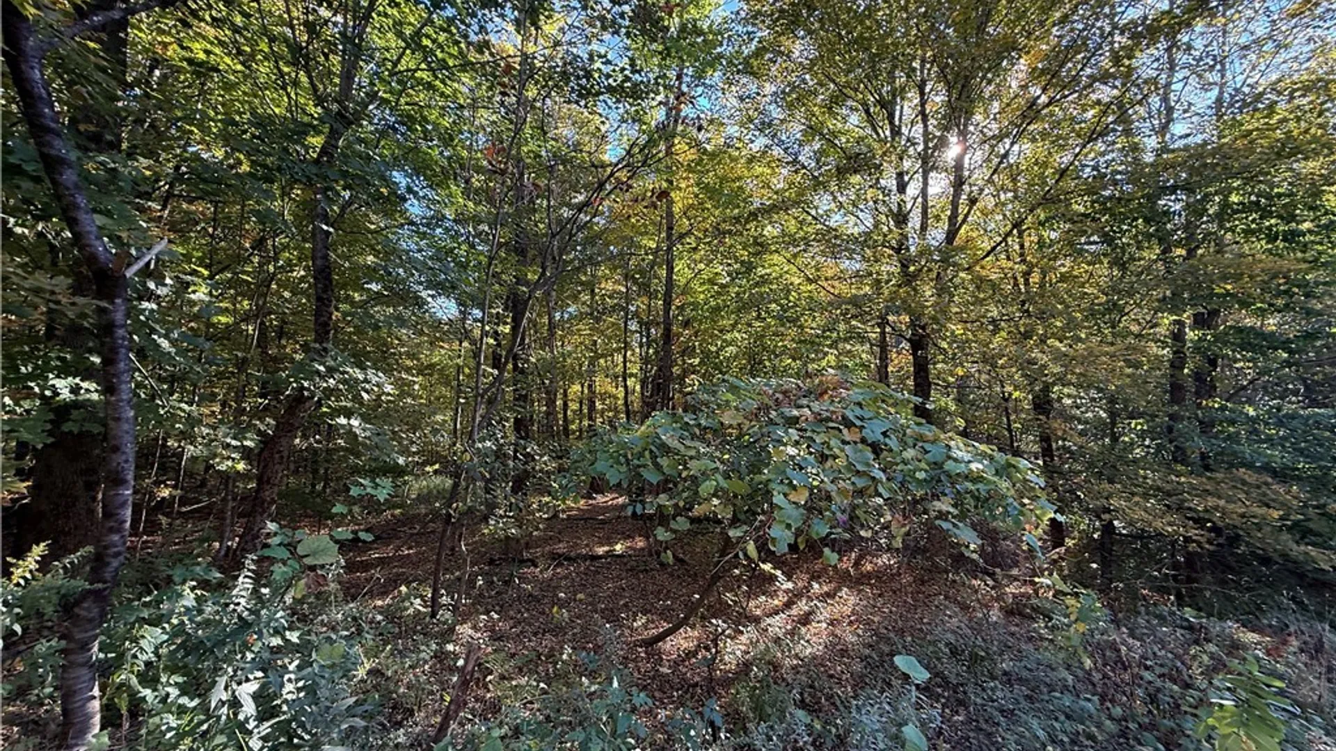 Property at Steelhead Lane, Williamstown, NY 13493 5