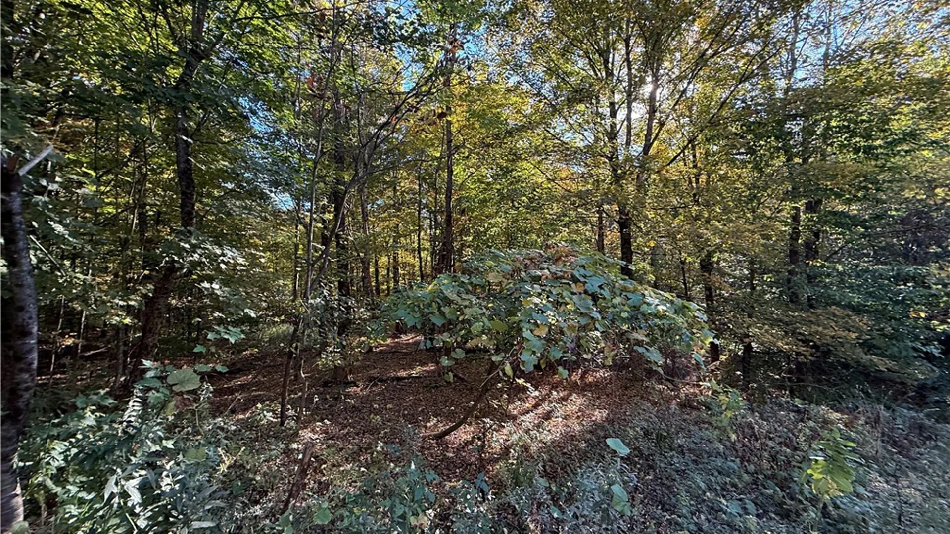 Property at Steelhead Lane, Williamstown, NY 13493 6