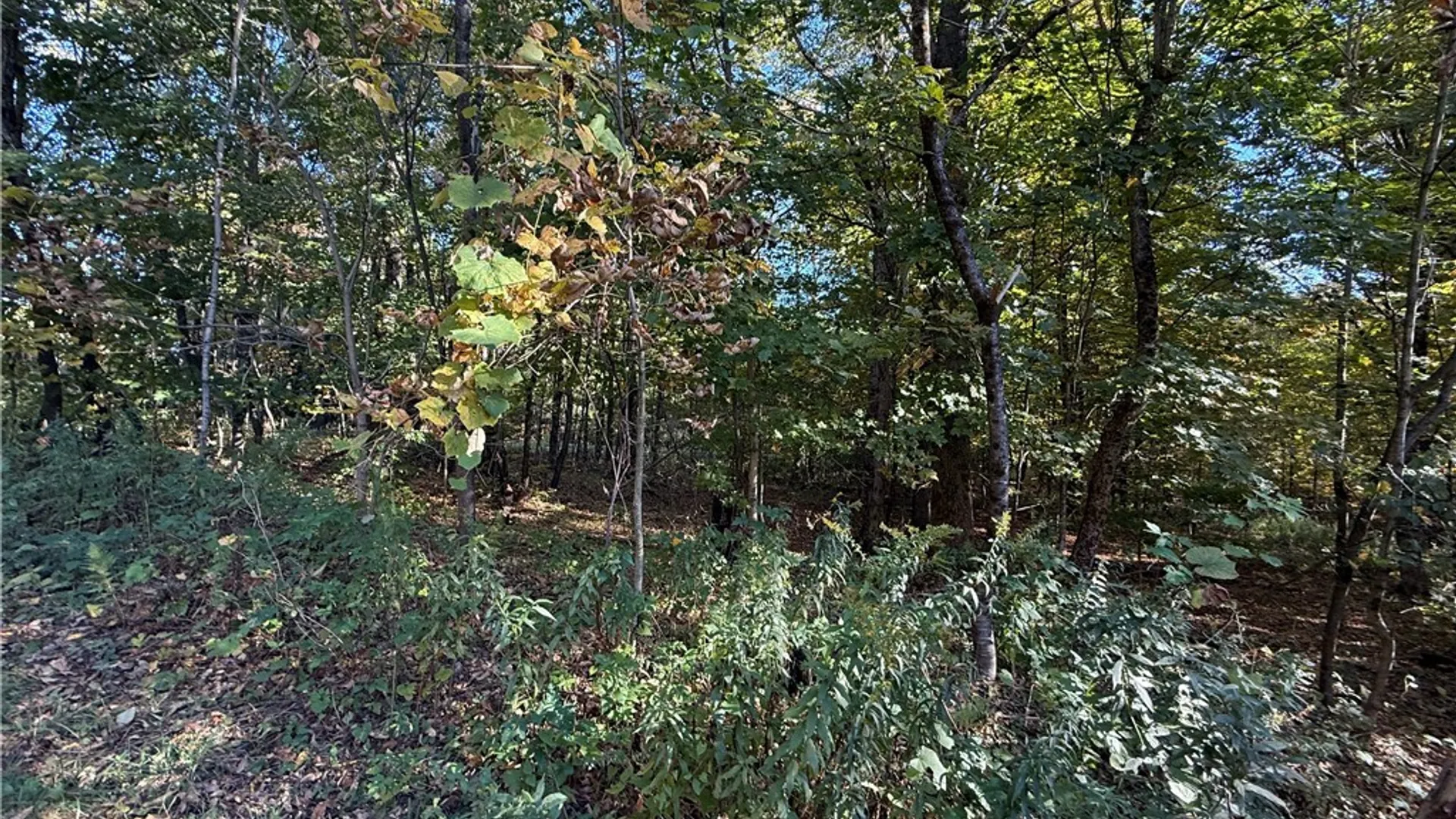 Property at Steelhead Lane, Williamstown, NY 13493 7