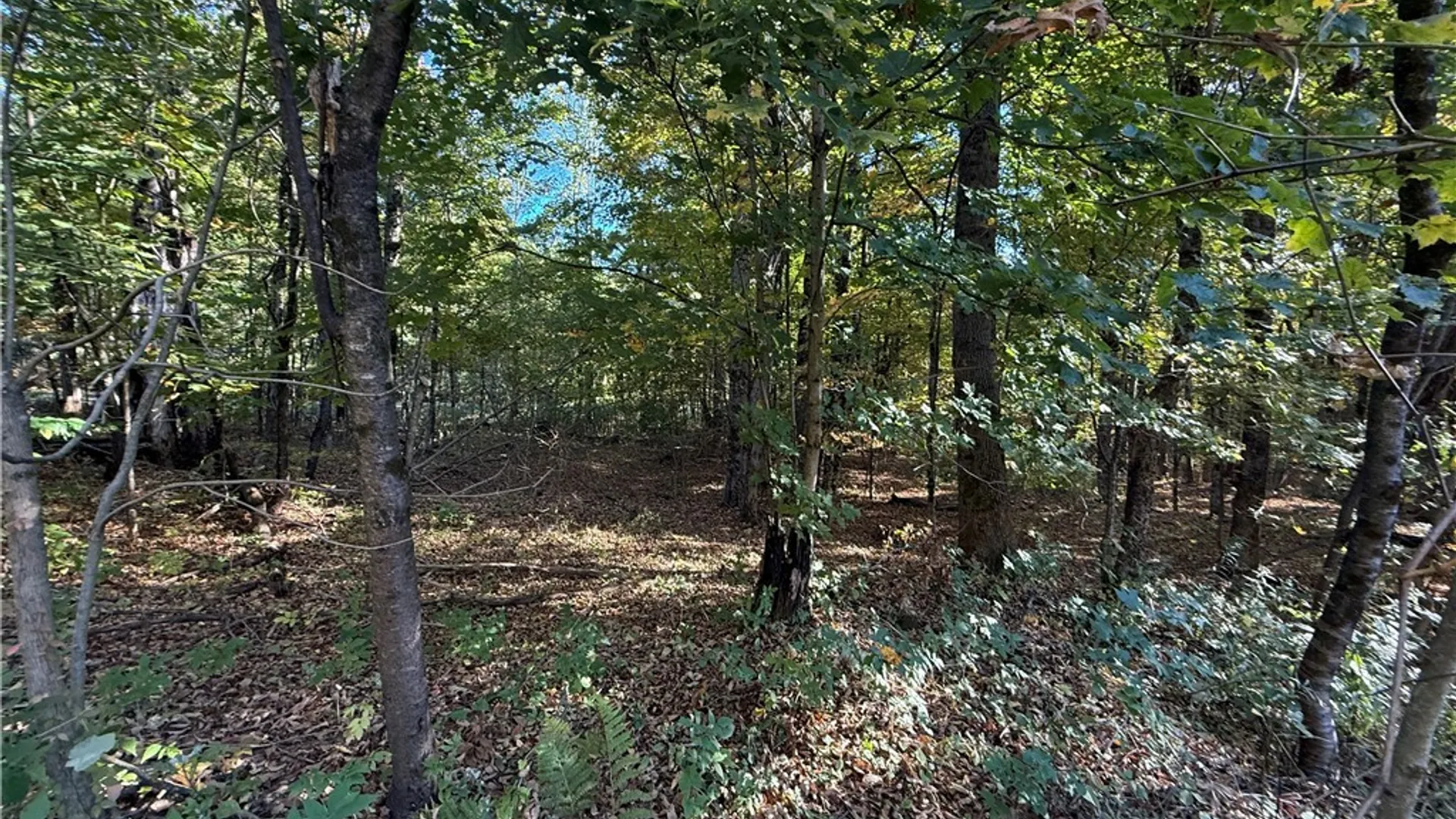 Property at Steelhead Lane, Williamstown, NY 13493 8