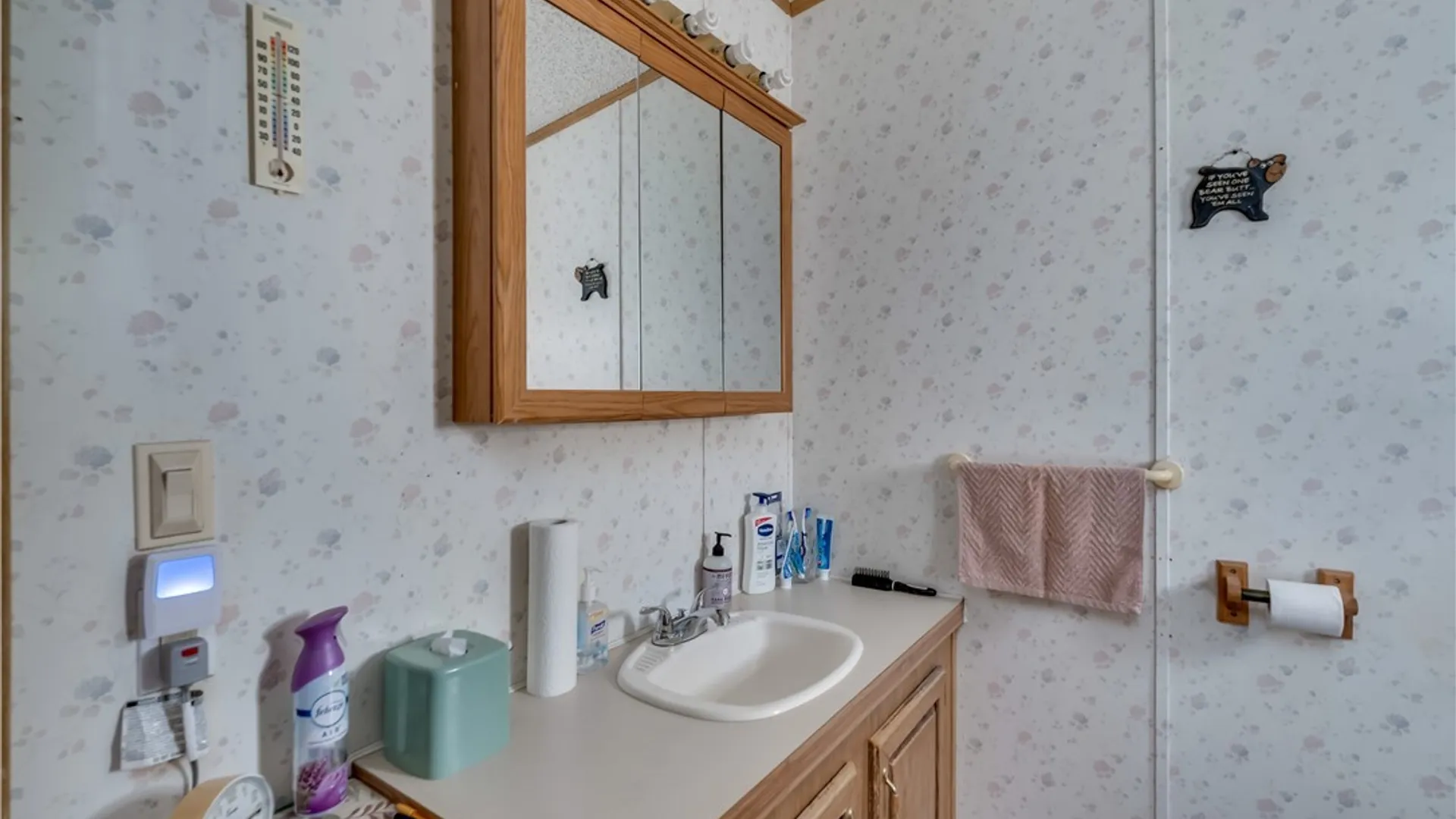 Property at 7823 Marshey Road, Diana, NY 13648 15