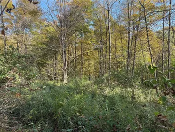 Property at Cold Brook Road, Scott, NY 13077