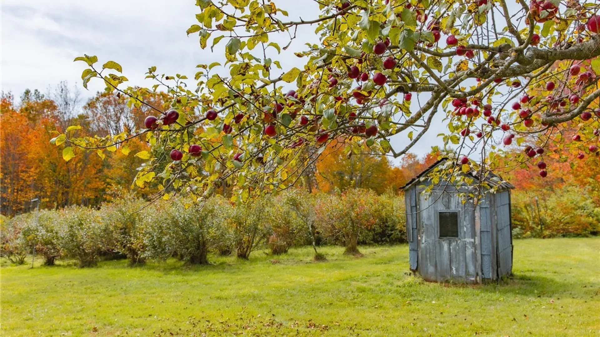 Property at 181 Peraglie Road, Jefferson, NY 12093 12