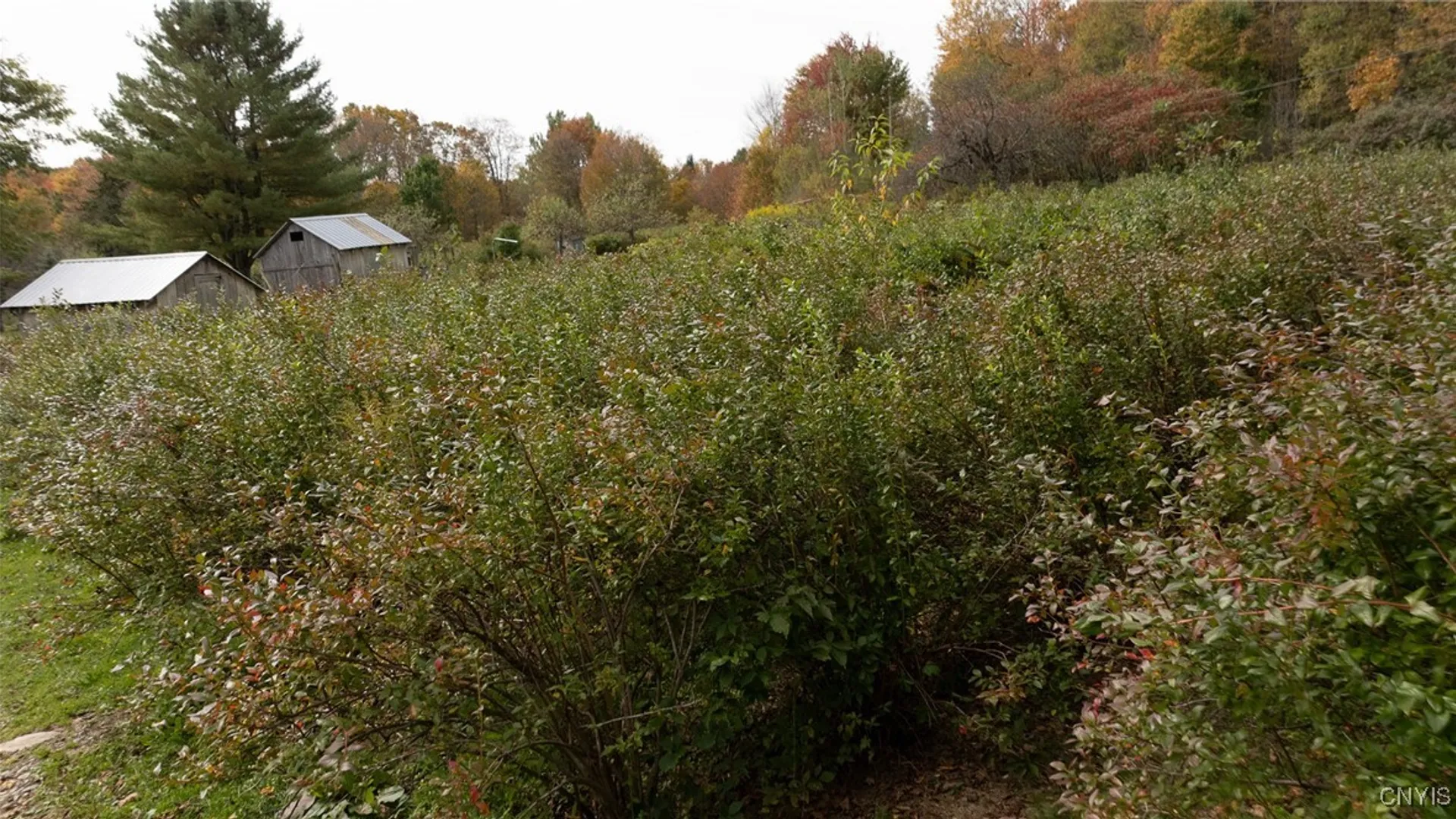 Property at 181 Peraglie Road, Jefferson, NY 12093 13