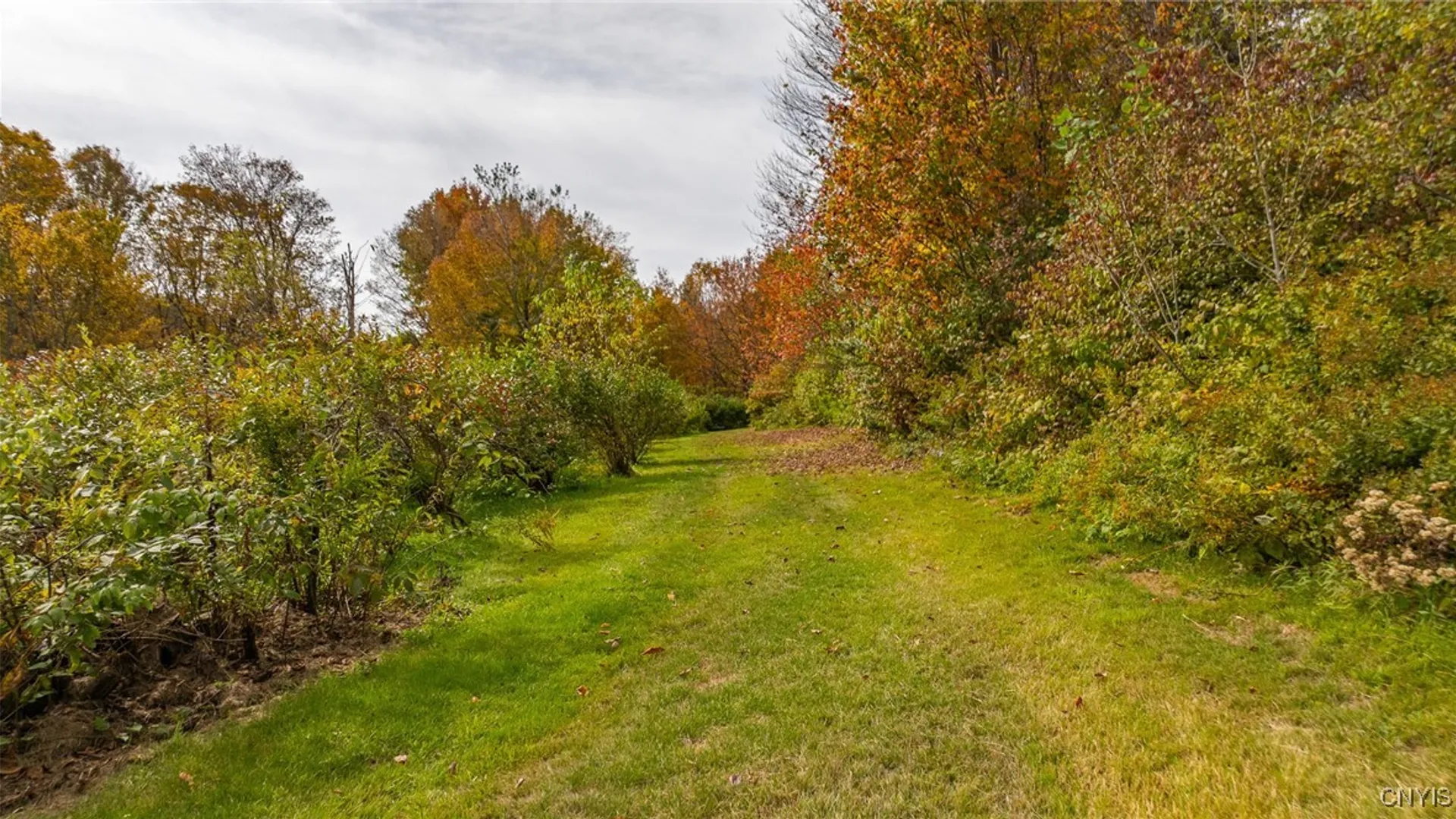 Property at 181 Peraglie Road, Jefferson, NY 12093 14