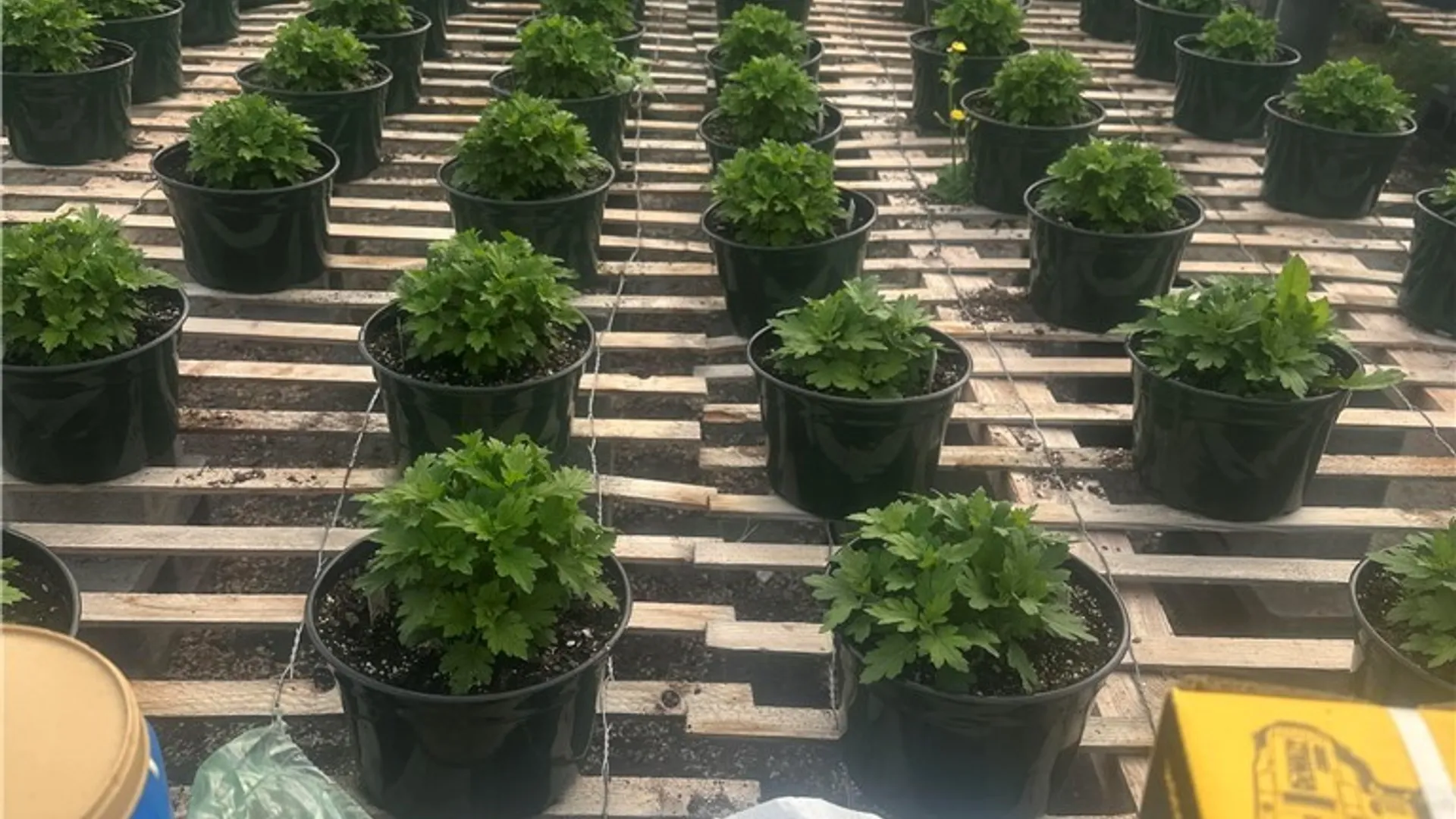 Property at 181 Peraglie Road, Jefferson, NY 12093 18