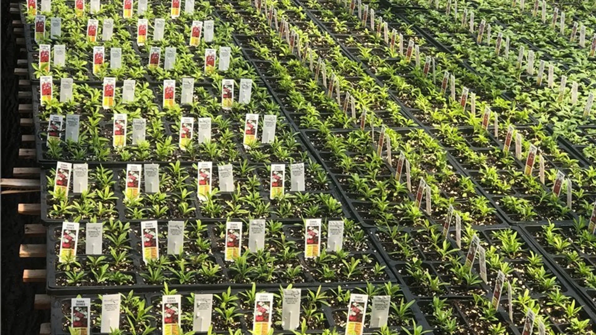 Property at 181 Peraglie Road, Jefferson, NY 12093 21