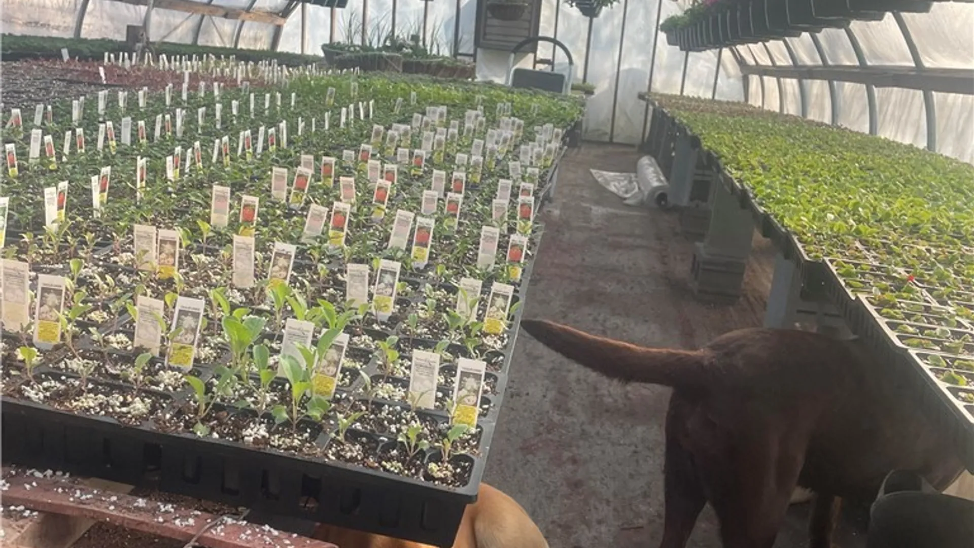 Property at 181 Peraglie Road, Jefferson, NY 12093 22