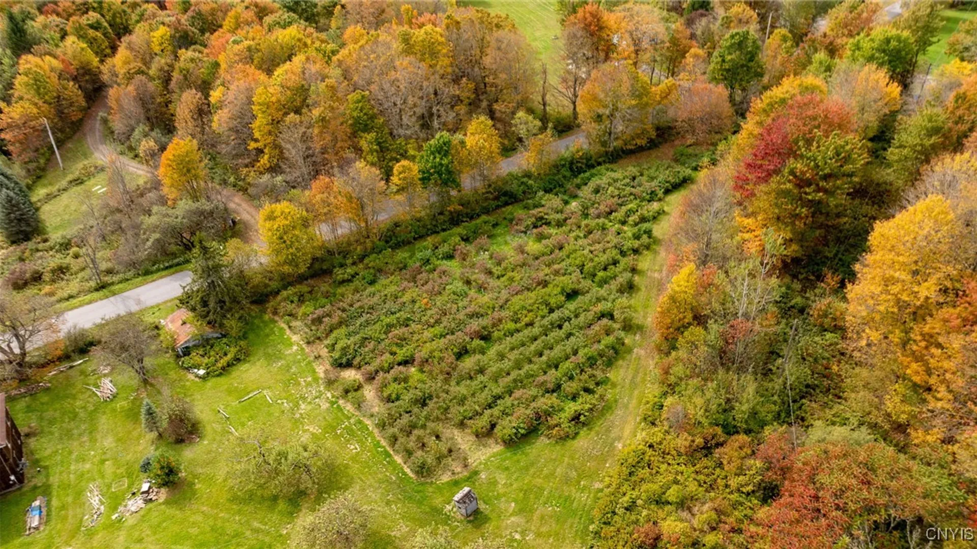 Property at 181 Peraglie Road, Jefferson, NY 12093 26