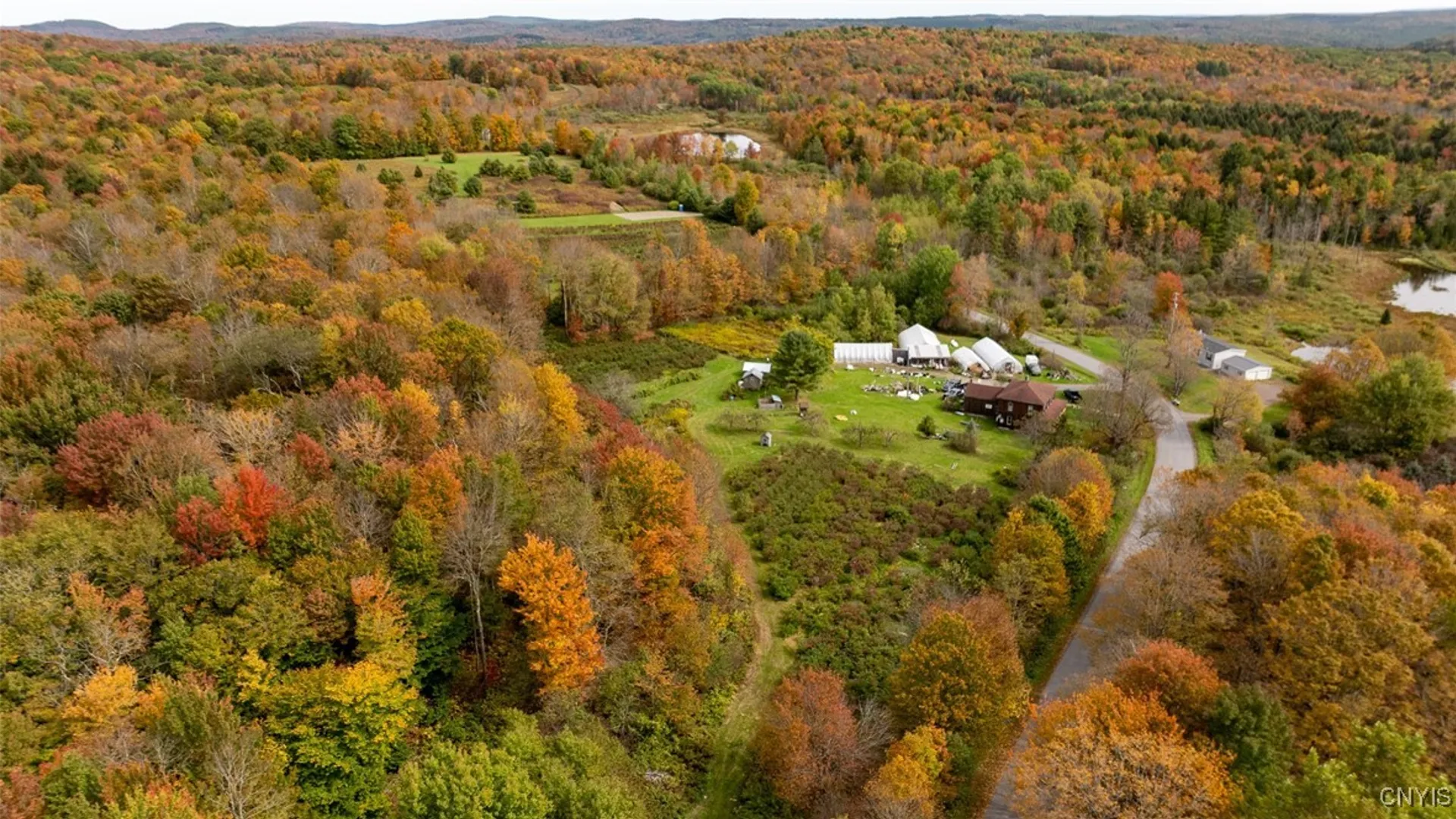 Property at 181 Peraglie Road, Jefferson, NY 12093 27