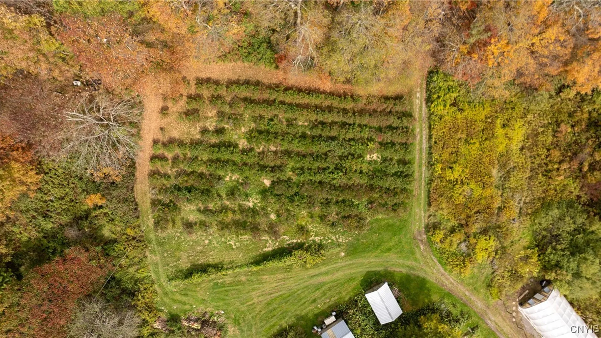 Property at 181 Peraglie Road, Jefferson, NY 12093 28