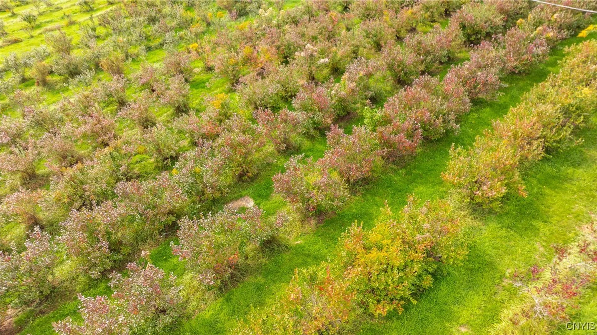 Property at 181 Peraglie Road, Jefferson, NY 12093 34